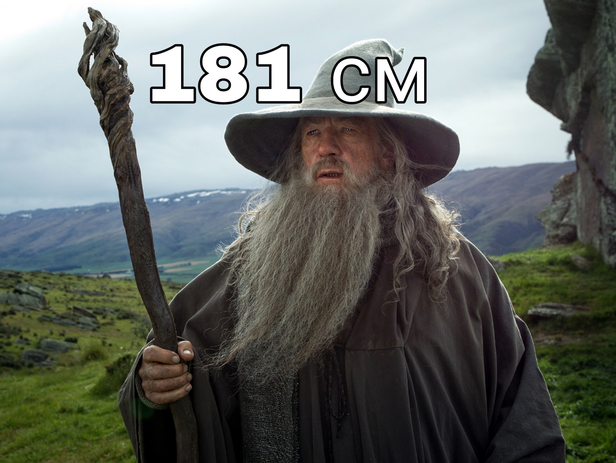 A very large stick, or size matters - My, Magic, Middle earth, Harry Potter, Saruman, Gandalf, Humor, Characters (edit), Lord of the Rings, Voldemort, Tolkien, Memes, Albus Dumbledore, Staff, Magic wand, Collage, The size, Longpost, 