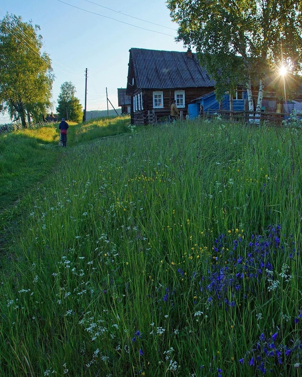 Деревенские пейзажи Архангельской области - Архангельская область, Природа, Красота природы, Деревня, Красота, Фотография, Россия, Длиннопост, 