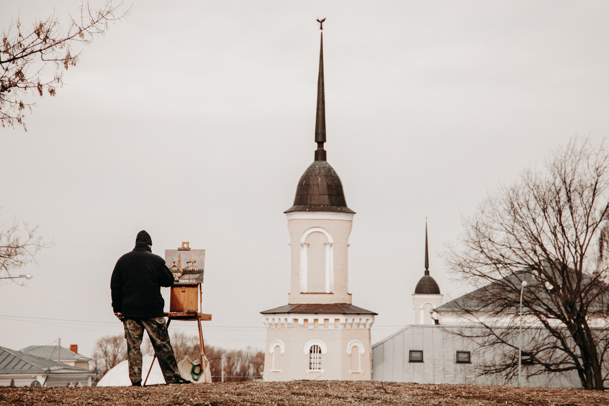 Notes from Kolomna - My, Russia, Kolomna, Photographer, Travel across Russia, Crow, Longpost, 