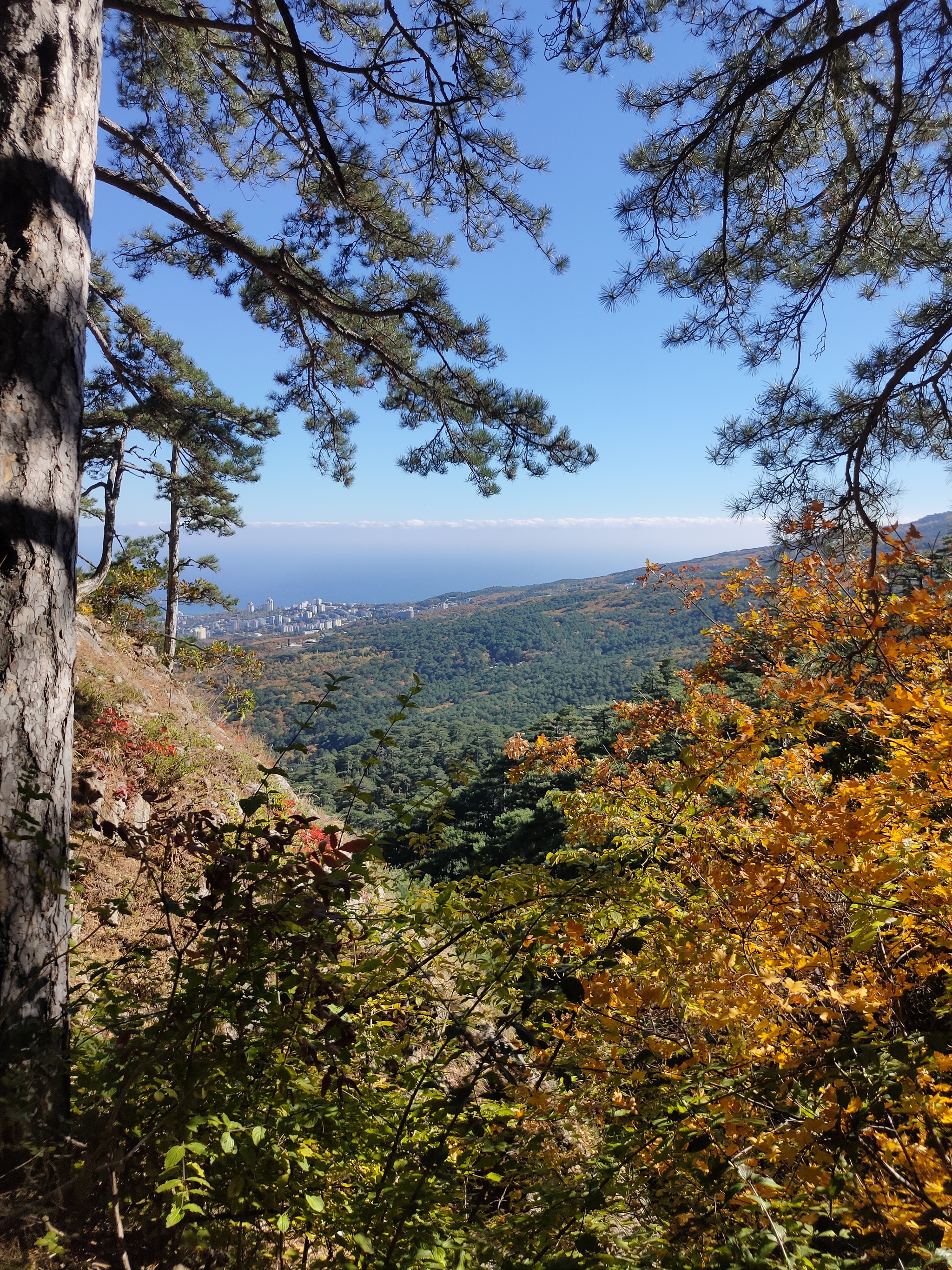 Crimea. Yalta. Shtangeevskaya and Botkinskaya trails - My, Crimea, wildlife, Walk in the woods, Forest, Travels, Tracking, Autumn, Longpost, Botkin Trail, 