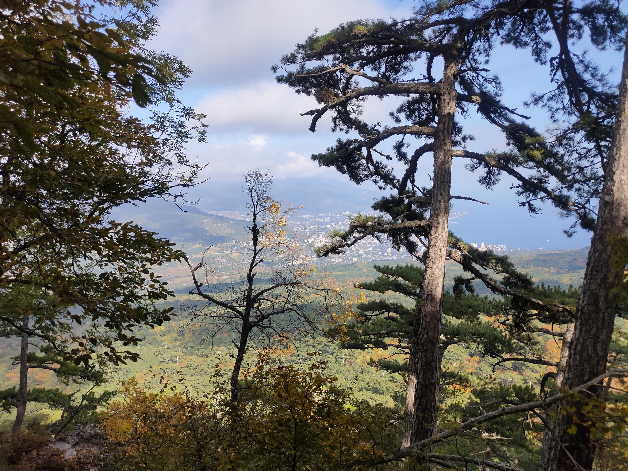 Crimea. Yalta. Shtangeevskaya and Botkinskaya trails - My, Crimea, wildlife, Walk in the woods, Forest, Travels, Tracking, Autumn, Longpost, Botkin Trail, 