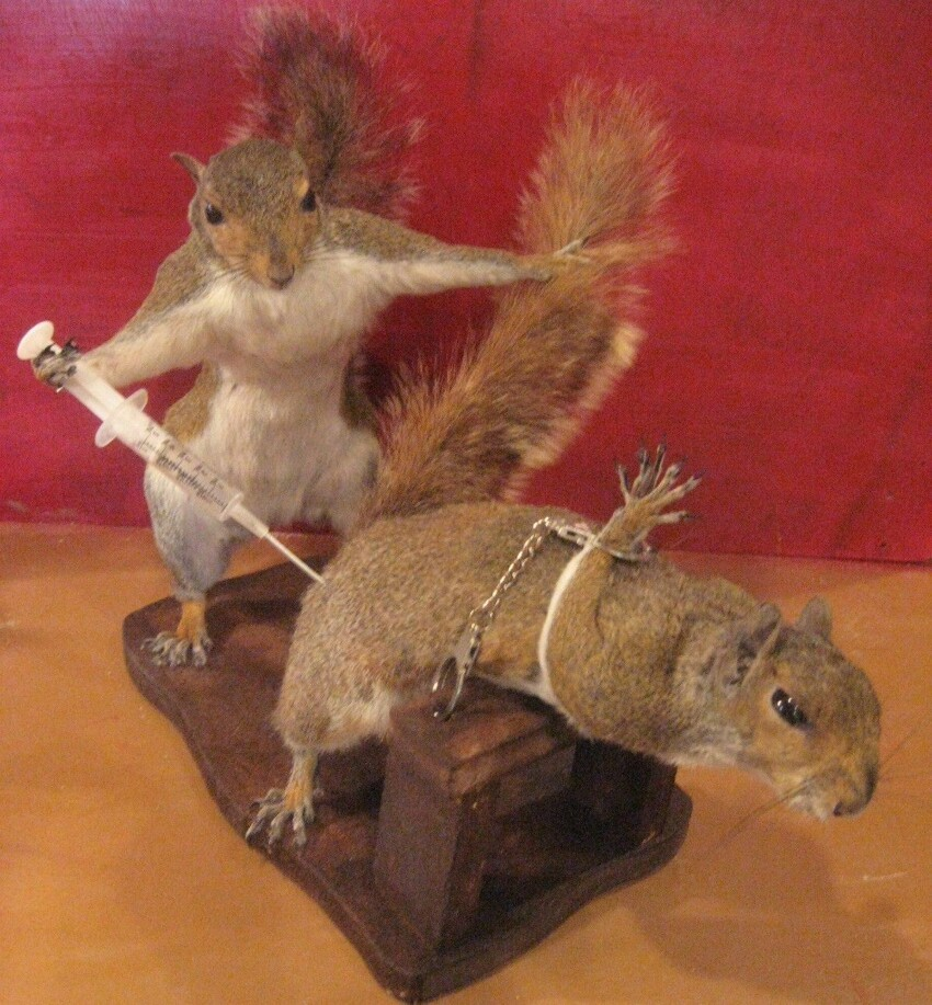 When taxidermists get bored, others get creepy. - Taxidermy, Scarecrow, Animals, Longpost, 