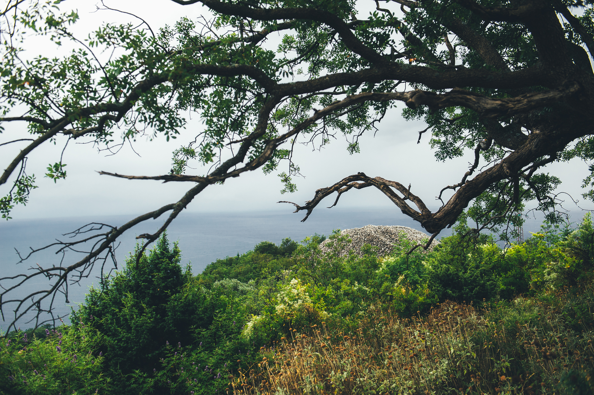 Memories of a warm summer in Montenegro - My, The photo, Nikon, Montenegro, Summer, Photographer, Longpost, 