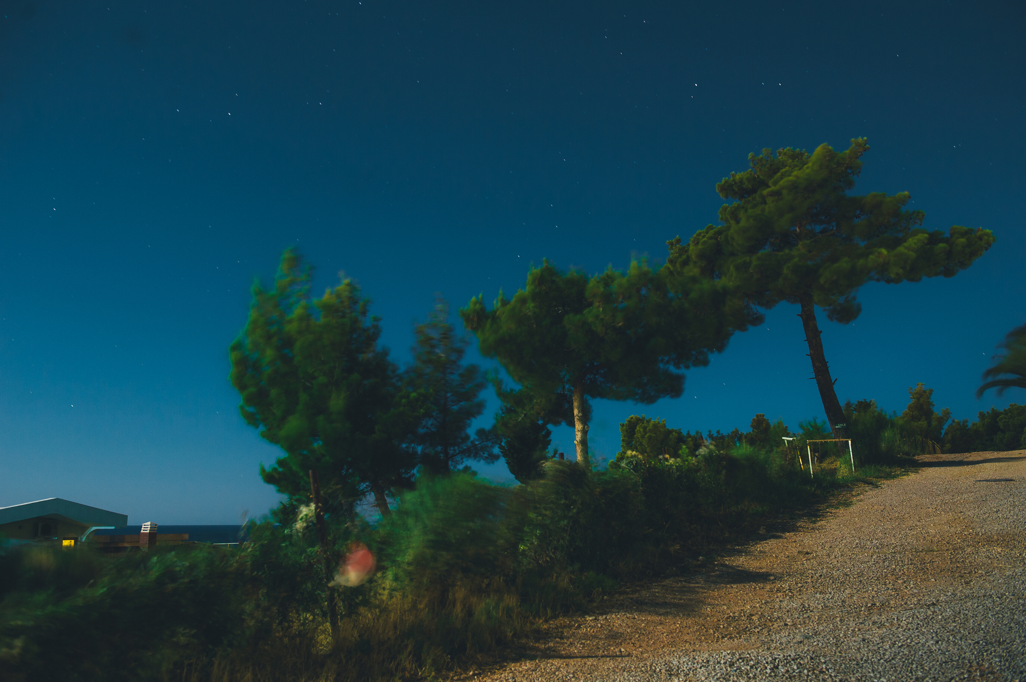 Memories of a warm summer in Montenegro - My, The photo, Nikon, Montenegro, Summer, Photographer, Longpost, 