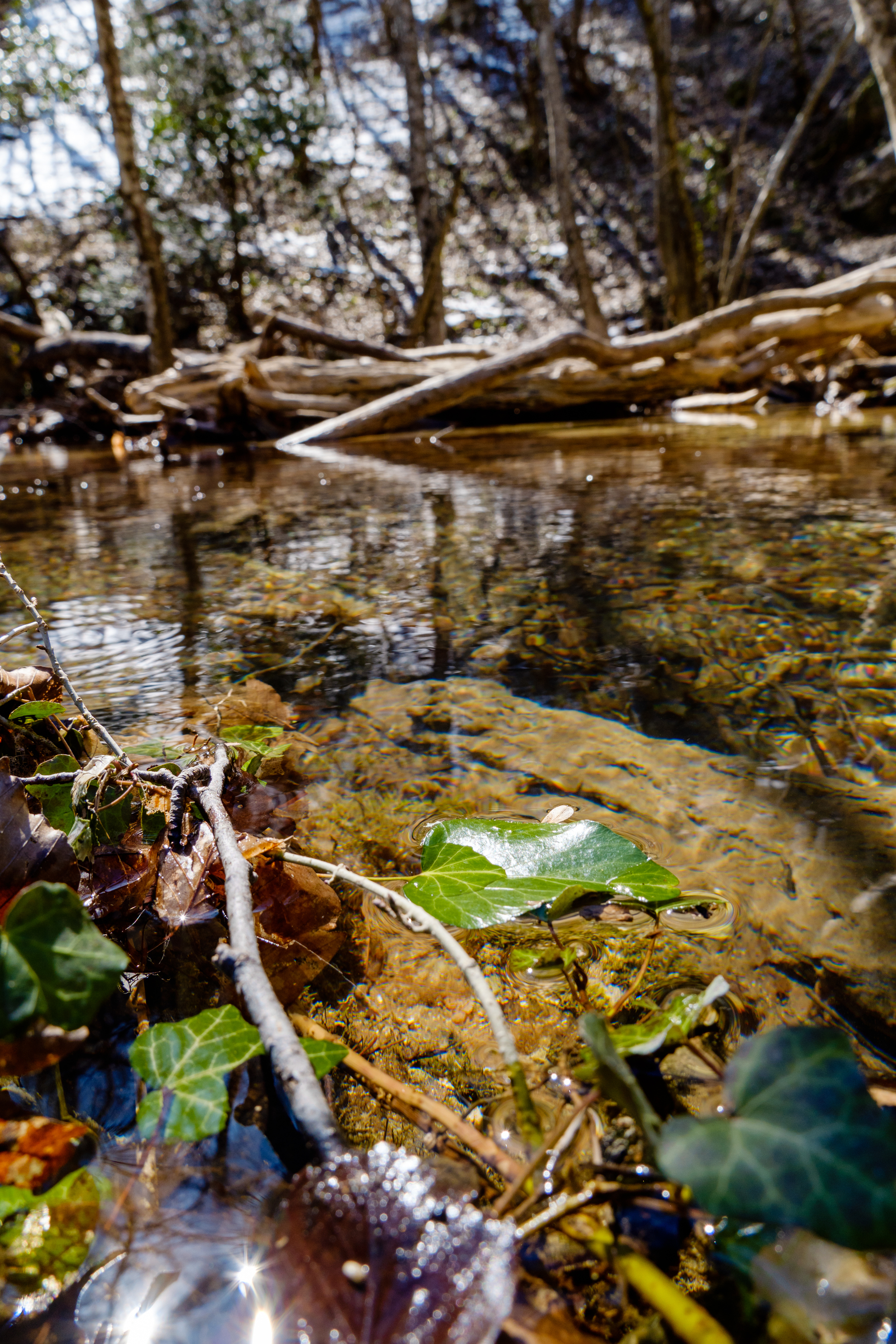 Waters of Crimea: Jur-Jur - My, Travel across Russia, Crimea, Jur-Jur, Jur-Jur Waterfall, Longpost, The photo, 