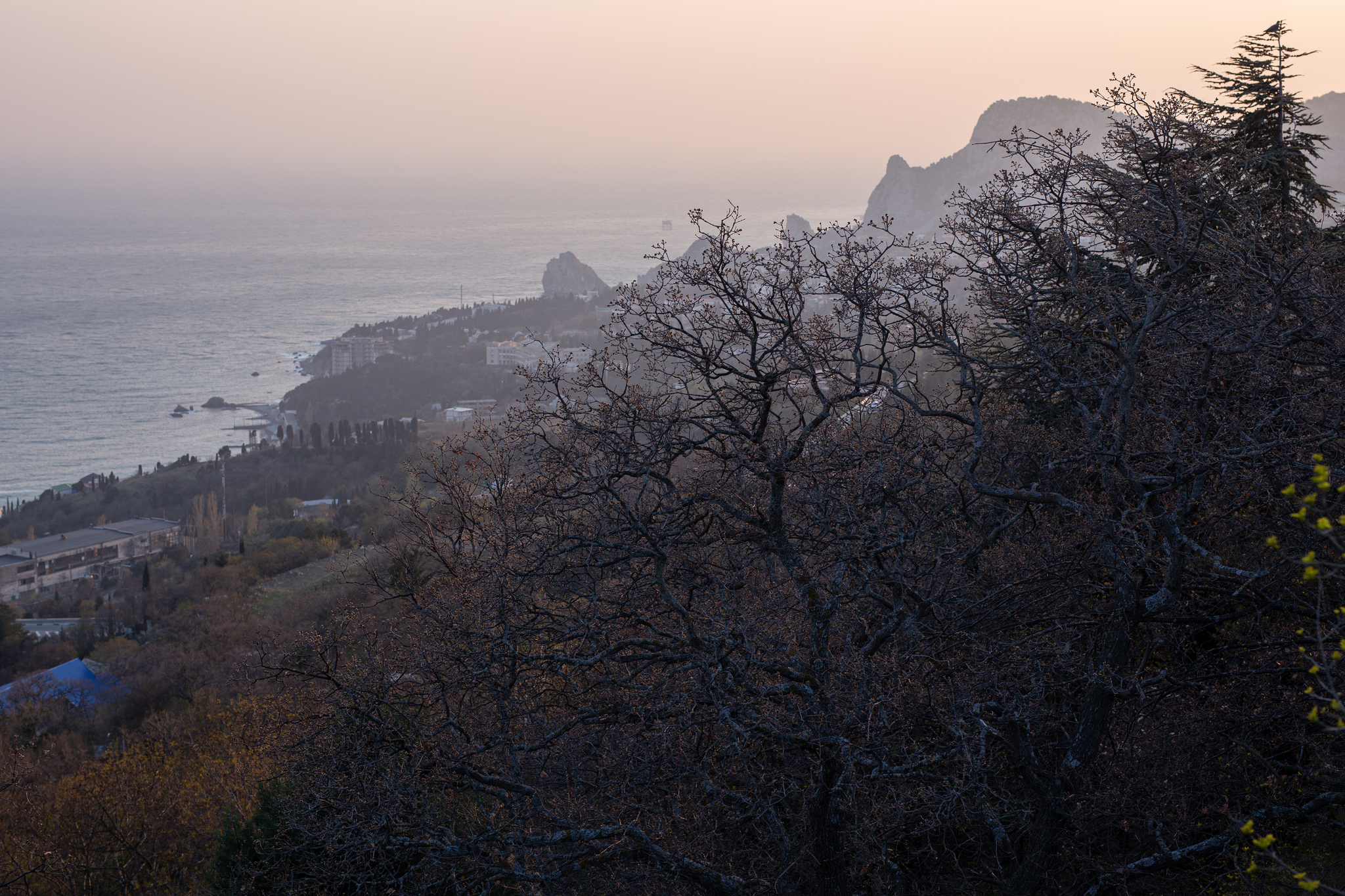 Crimea wakes up after winter - My, Travels, Hike, Crimea, The mountains, Nature, Tourism, Travel across Russia, Psychology, Mountain tourism, Туристы, The nature of Russia, Black Sea, Vacation, Longpost, 