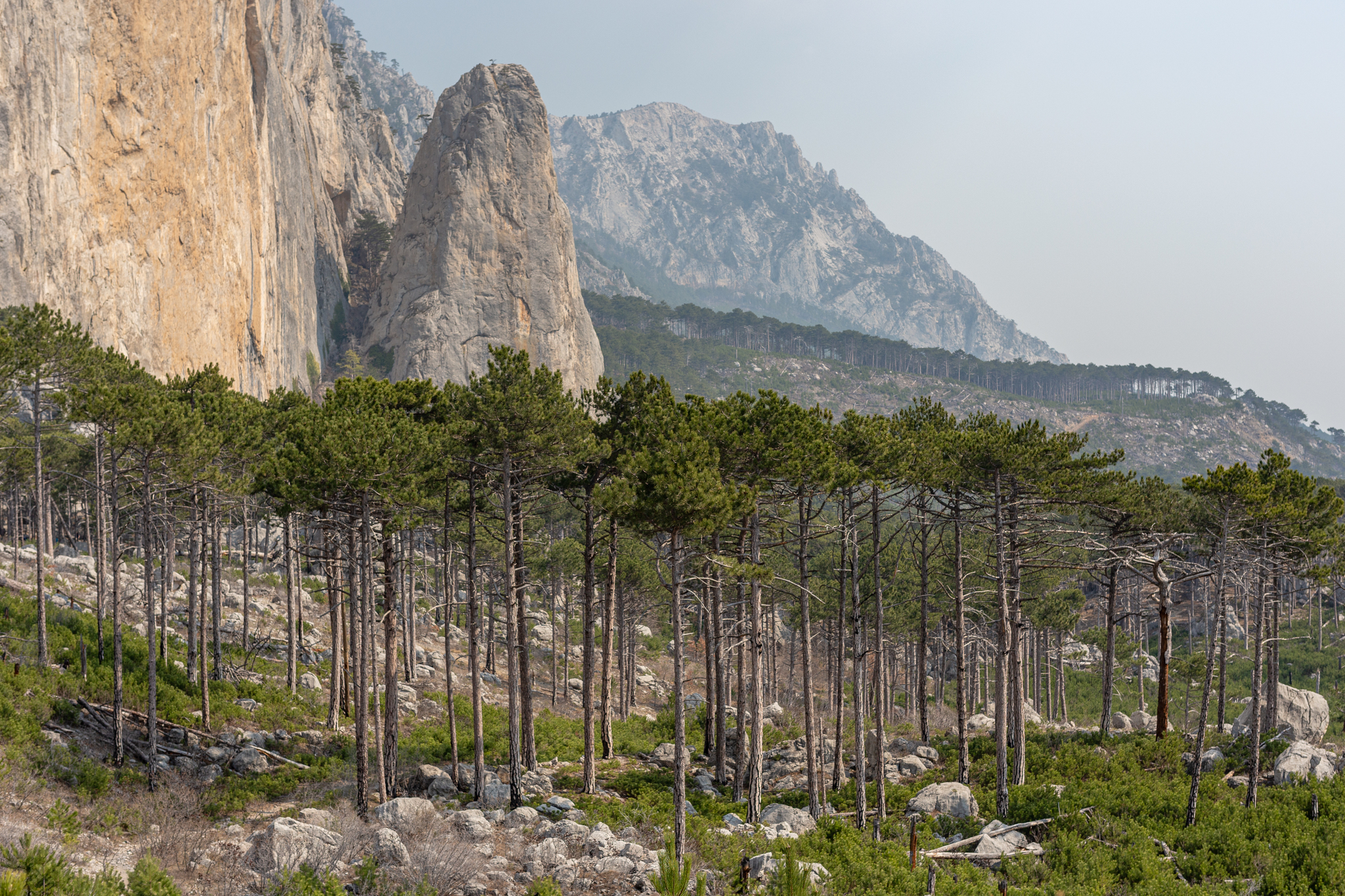 Crimea wakes up after winter - My, Travels, Hike, Crimea, The mountains, Nature, Tourism, Travel across Russia, Psychology, Mountain tourism, Туристы, The nature of Russia, Black Sea, Vacation, Longpost, 