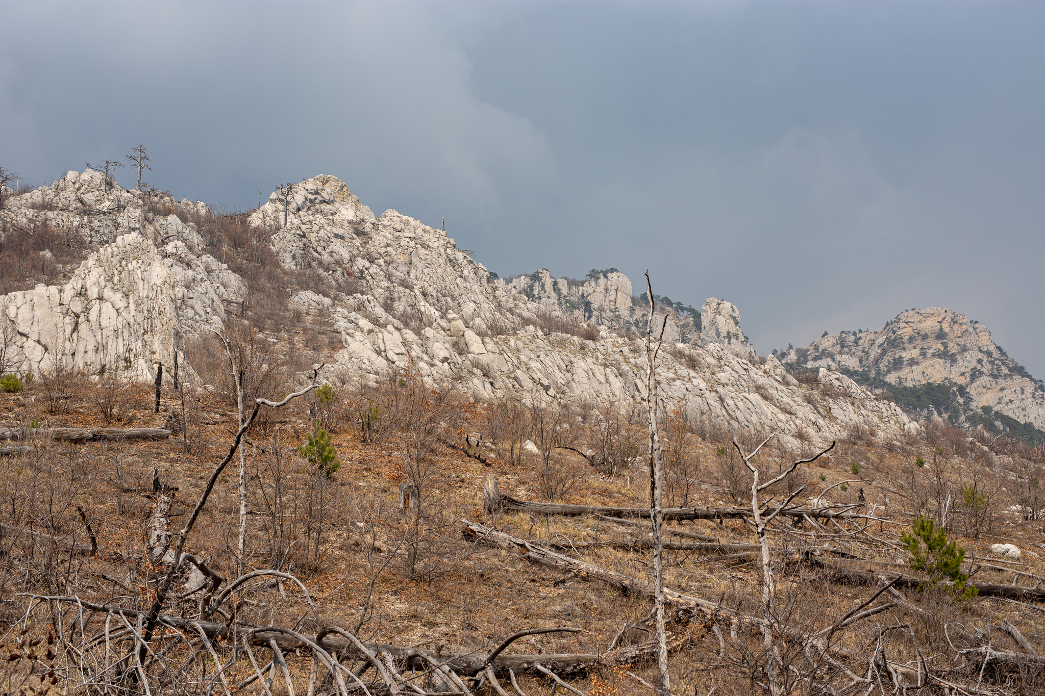 Crimea wakes up after winter - My, Travels, Hike, Crimea, The mountains, Nature, Tourism, Travel across Russia, Psychology, Mountain tourism, Туристы, The nature of Russia, Black Sea, Vacation, Longpost, 