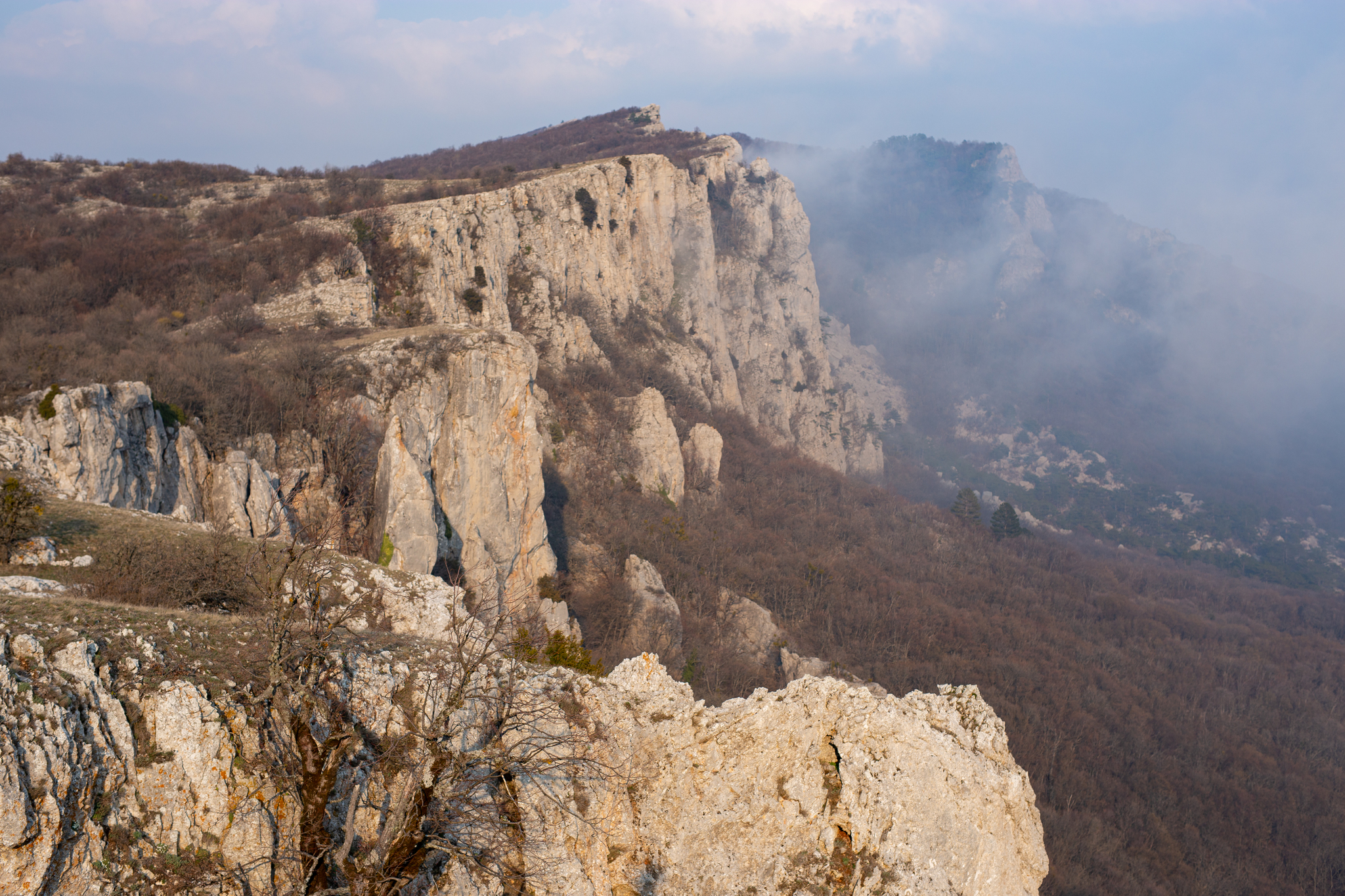 Crimea wakes up after winter - My, Travels, Hike, Crimea, The mountains, Nature, Tourism, Travel across Russia, Psychology, Mountain tourism, Туристы, The nature of Russia, Black Sea, Vacation, Longpost, 