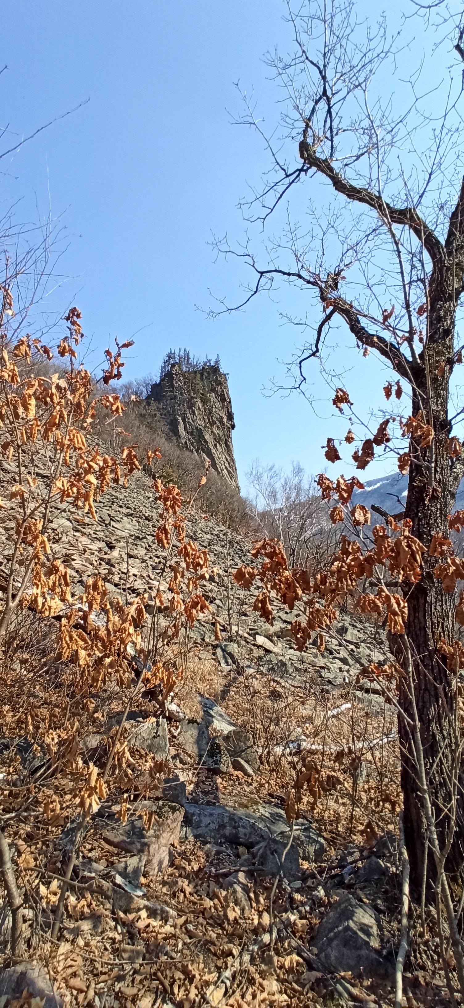 Primorsky Krai, gorge Cheeks of the Dardanelles - My, Primorsky Krai, Nature, The mountains, River, Longpost, 