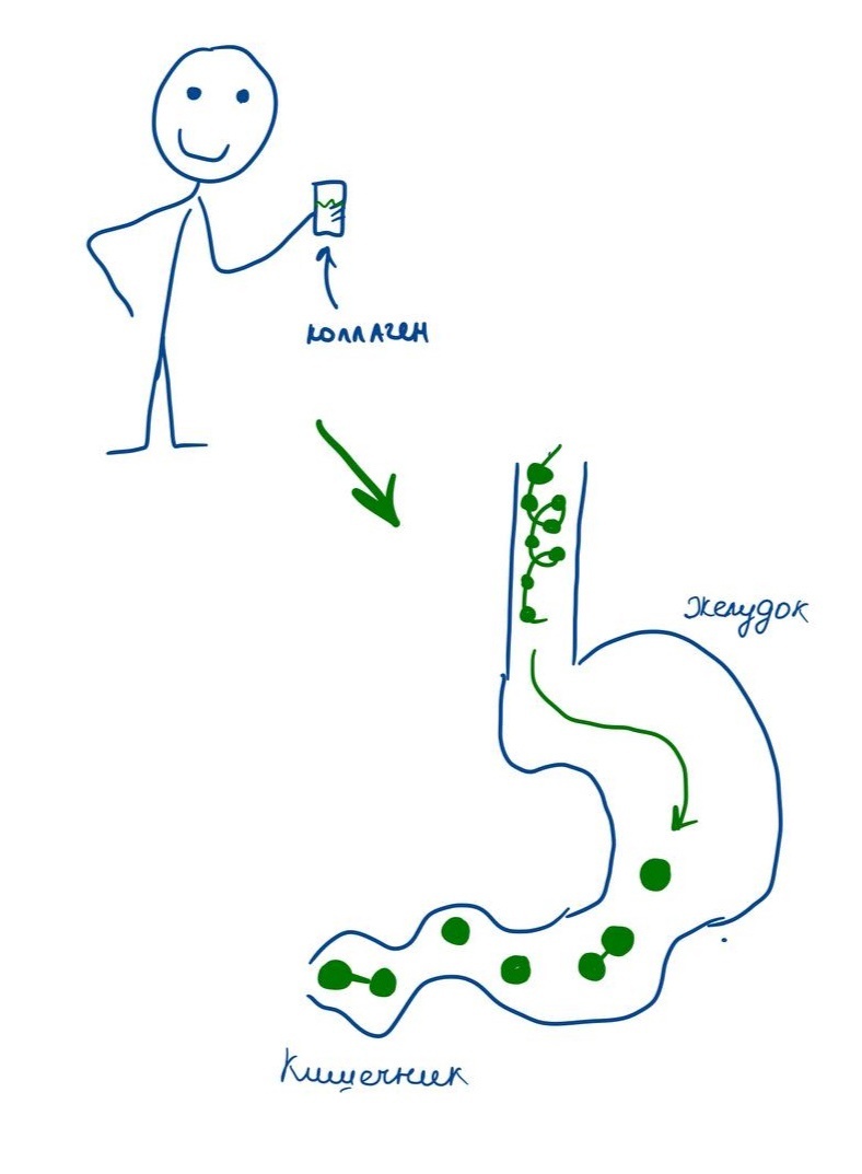 Нужно ли пить коллаген, зачем тут витамин С и отчего случается цинга - Моё, Фитнес, Диета, Лишний вес, Мотивация, Биохимия, Коллаген, Спортивное питание, Похудение, Здоровье, Длиннопост, 