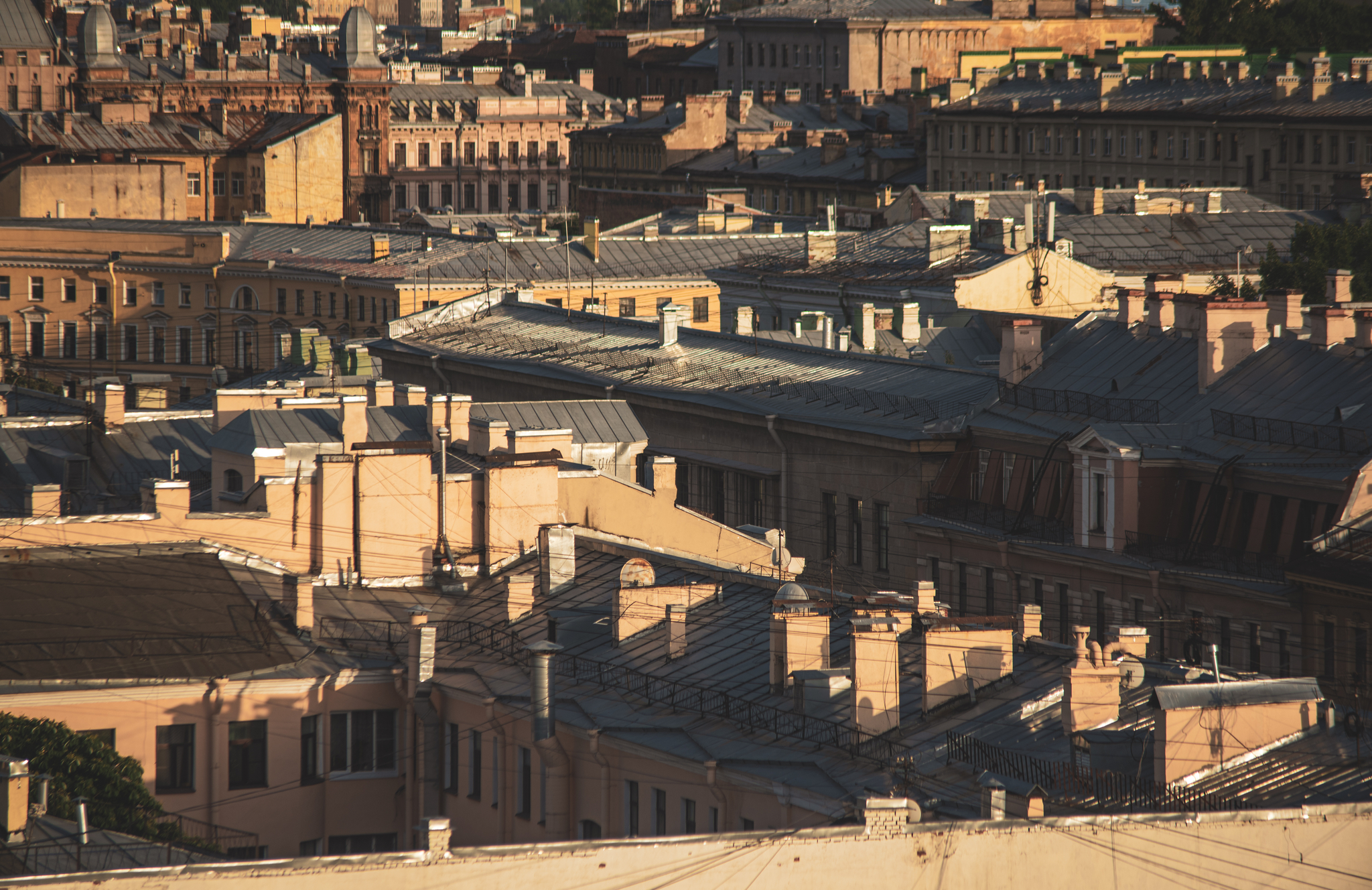 On one St. Petersburg roof - My, Saint Petersburg, The photo, Street photography, City from the roof, Longpost, 