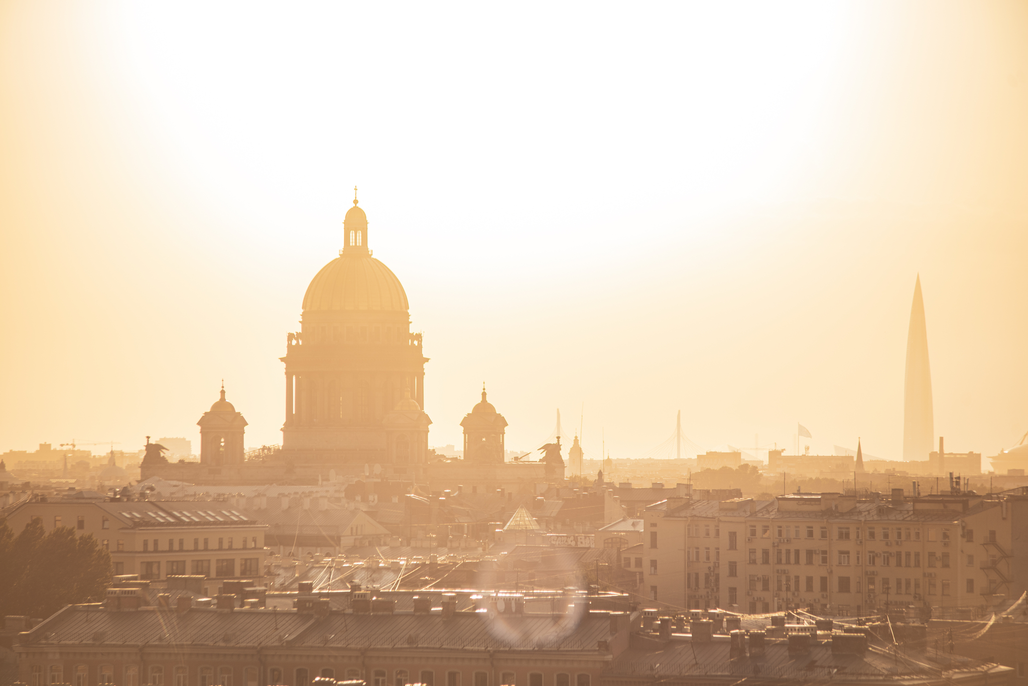 On one St. Petersburg roof - My, Saint Petersburg, The photo, Street photography, City from the roof, Longpost, 