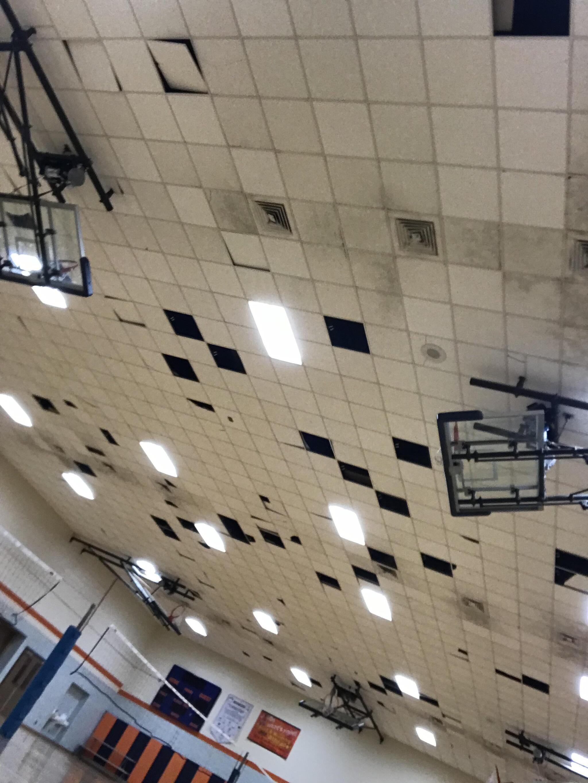 The school's decision to make a suspended ceiling in the gym was very original. - Ceiling, Armstrong, Gym, 