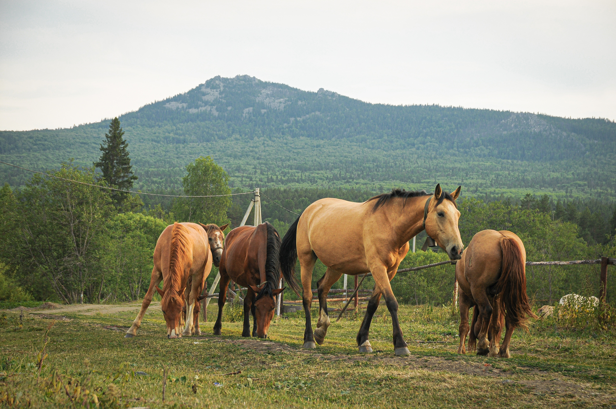 Once in Bashkiria - My, Longpost, The photo, Bashkortostan, The nature of Russia, beauty of nature, 