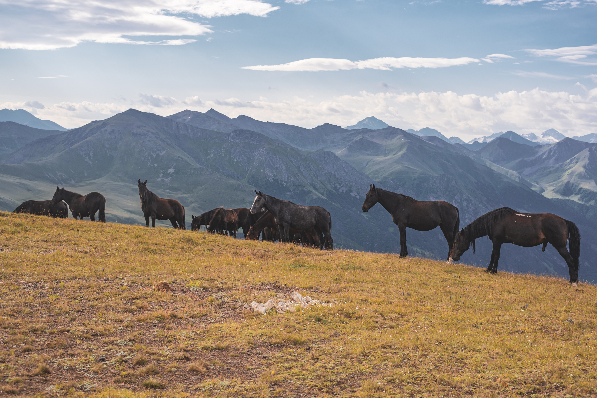 Small ascent to Mount Pastukhova, KCR - My, The photo, Landscape, Photographer, Nikon, The mountains, Climbing, Bta, Nature, The nature of Russia, Karachay-Cherkessia, Longpost, 