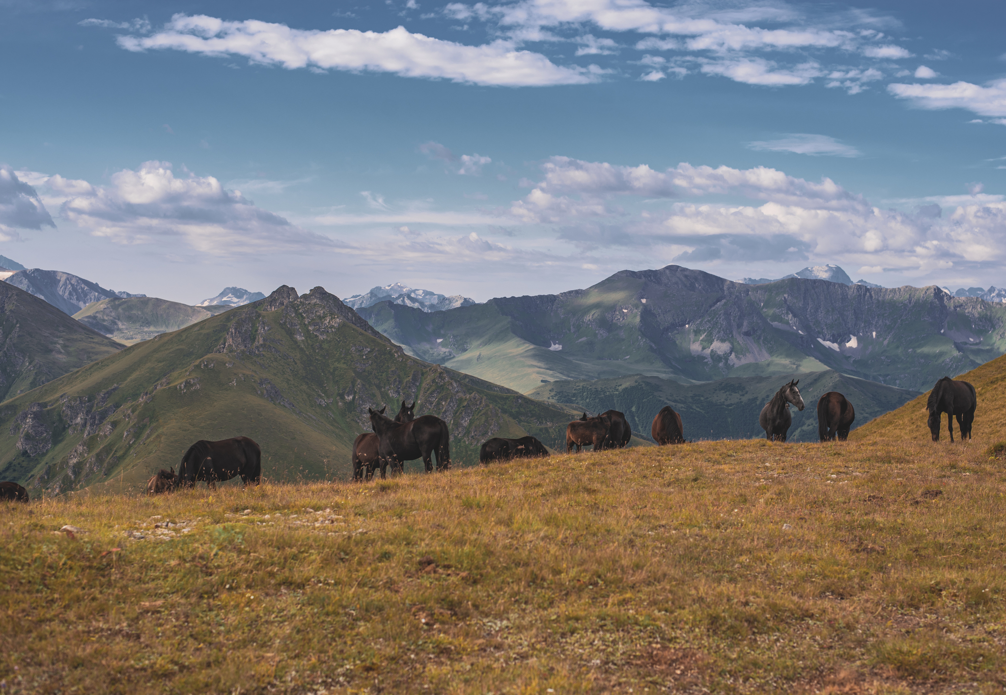 Small ascent to Mount Pastukhova, KCR - My, The photo, Landscape, Photographer, Nikon, The mountains, Climbing, Bta, Nature, The nature of Russia, Karachay-Cherkessia, Longpost, 