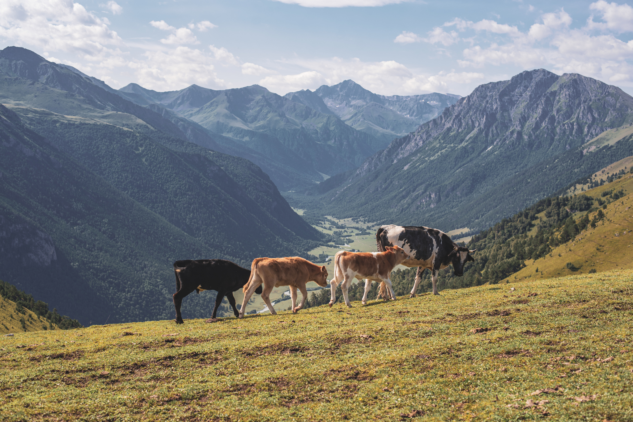 Small ascent to Mount Pastukhova, KCR - My, The photo, Landscape, Photographer, Nikon, The mountains, Climbing, Bta, Nature, The nature of Russia, Karachay-Cherkessia, Longpost, 