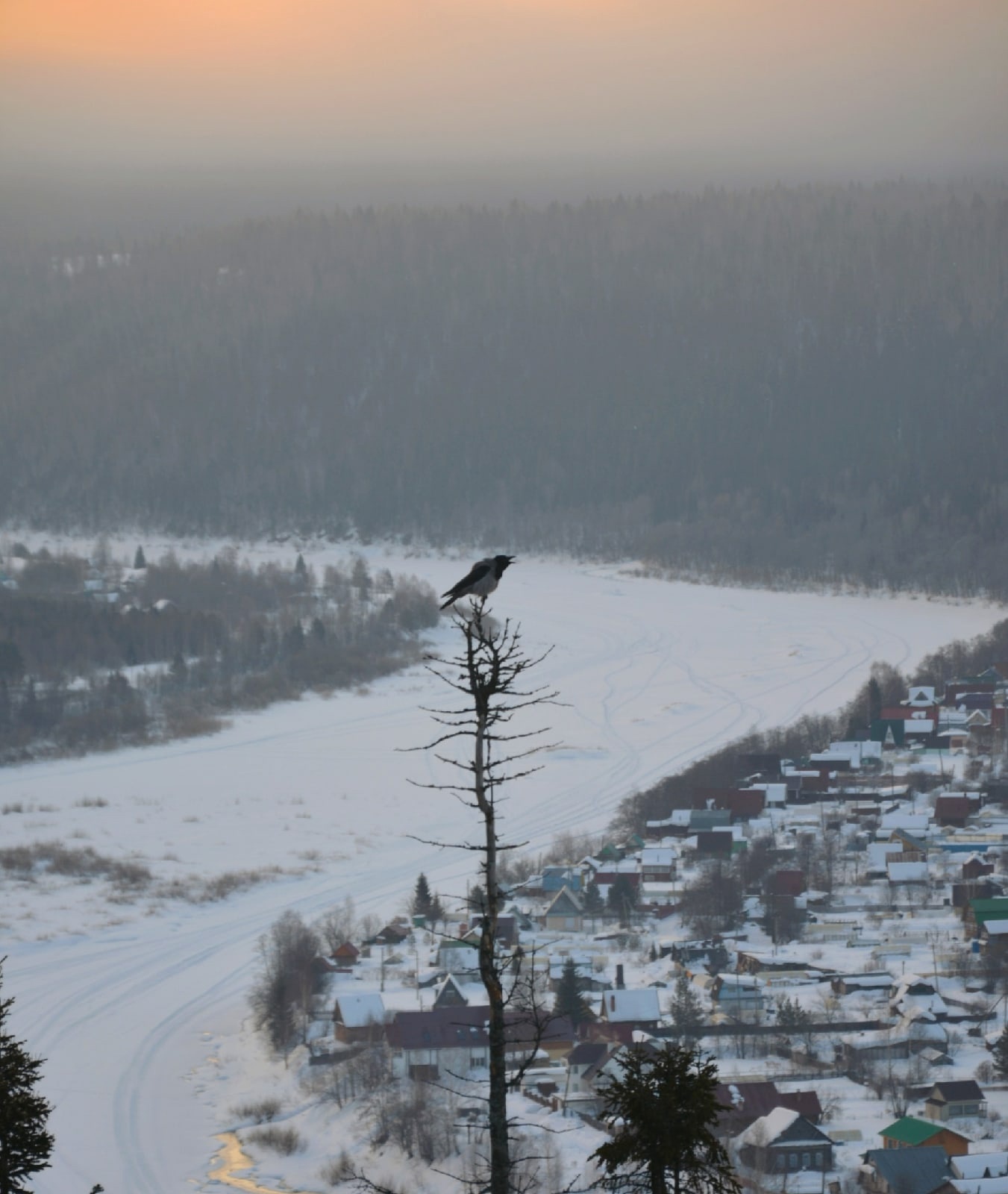 Morning on Chusovaya - Morning, Chusovaya, Village, River, Crow, The nature of Russia, Travel across Russia, Spring, The photo, Perm Territory, Chusovoy, 