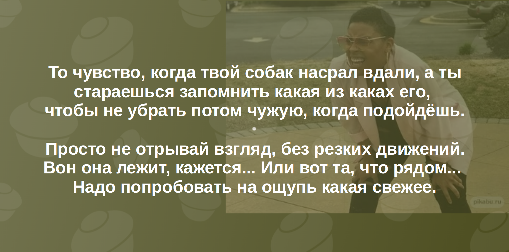 Ответ на пост «Ответ на пост Россия тонет в говне» - Моё, Собака, Уборка, Фекалии, Выгул, Внимательность, Ответ на пост, Картинка с текстом, 