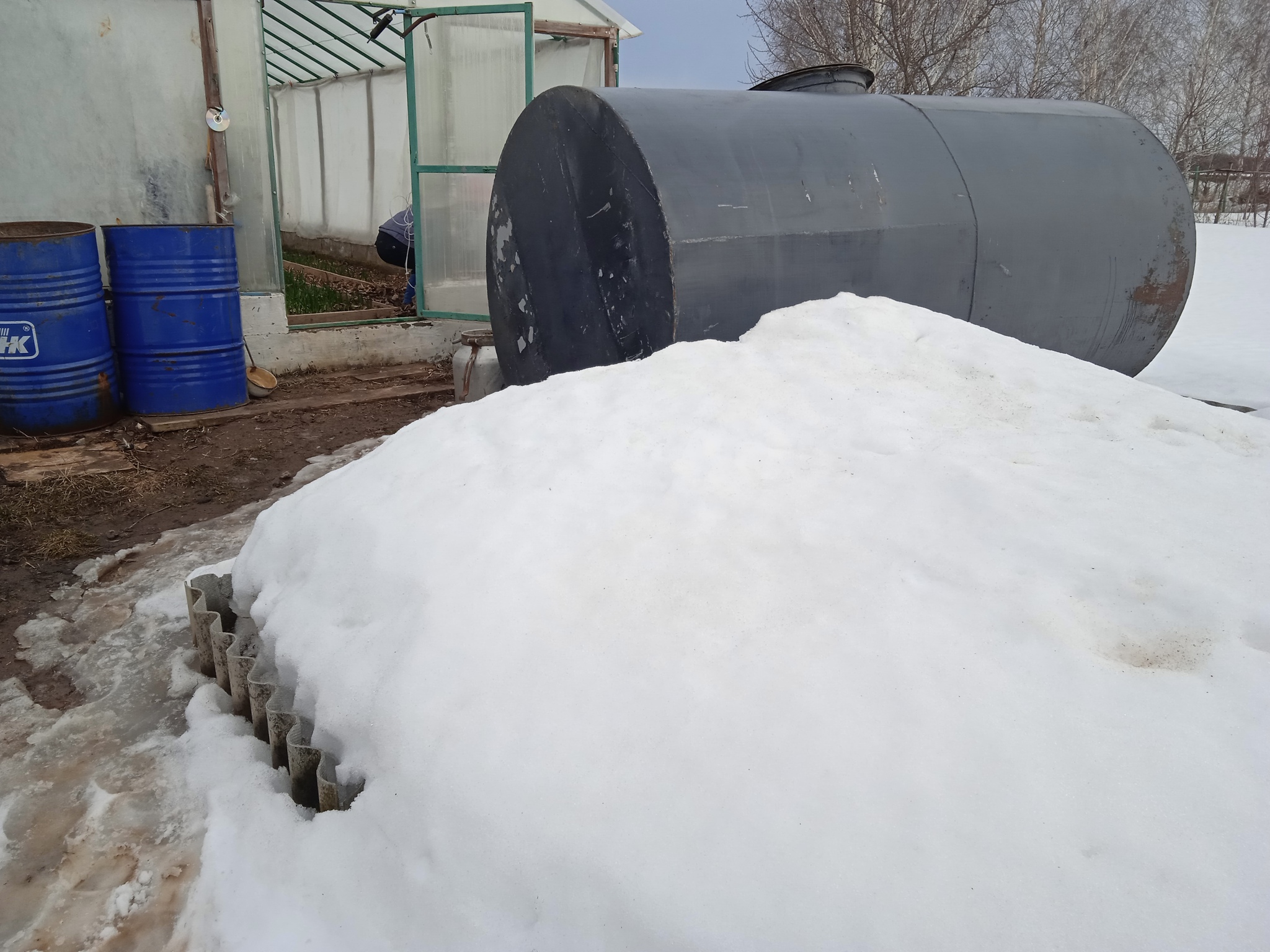 Spring is coming - Greenhouse, Dacha, Chives, Snow, 