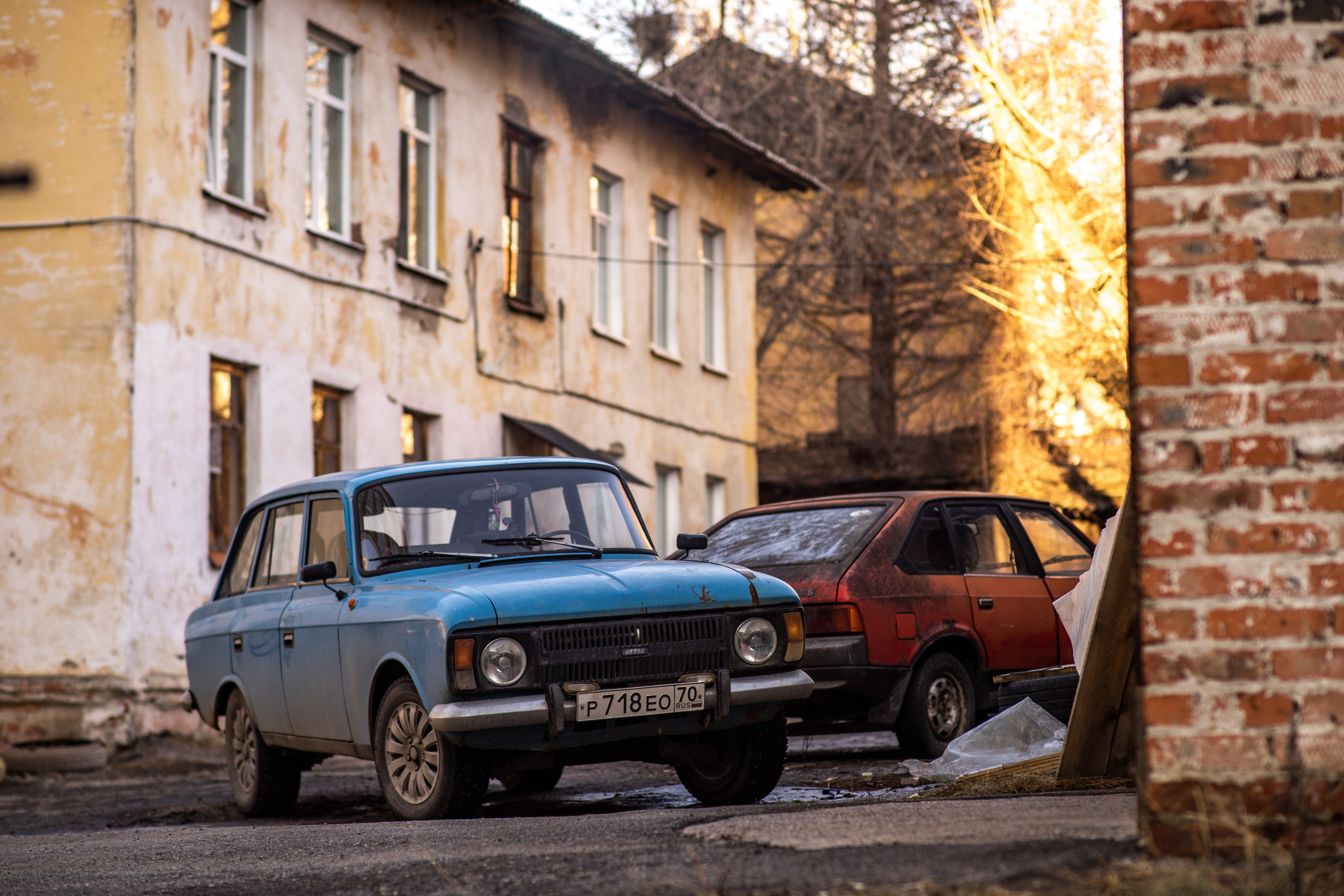 Spring in Tomsk - My, Siberia, cat, Spring, The photo, Walk, Tomsk, Town, Longpost