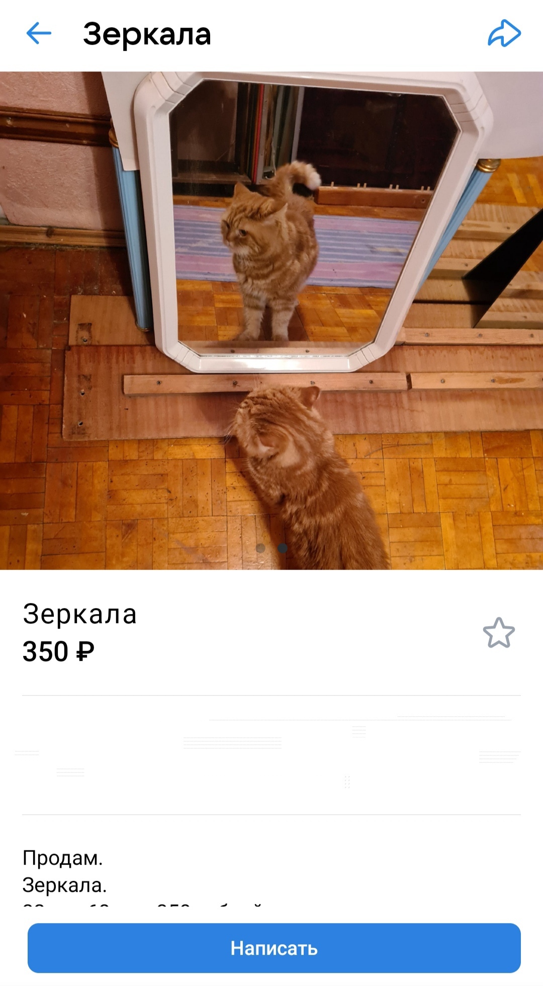 Perfect advertisement - cat, Sale, In contact with, Photo on sneaker, Redheads, Advertising, Resale, Announcement, Longpost