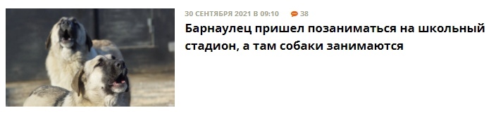 ПЁСИКОВ ЛЮБИТЕ? - Моё, Скриншот, Новости, СМИ и пресса, Собака, Барнаул, Алтайский край, Россия, Юмор, Смех, Стадион, Спорт, Тренировка, Правильное питание, Грустный юмор, Картинка с текстом, Игра слов, Каламбур, Анекдот, Абсурд