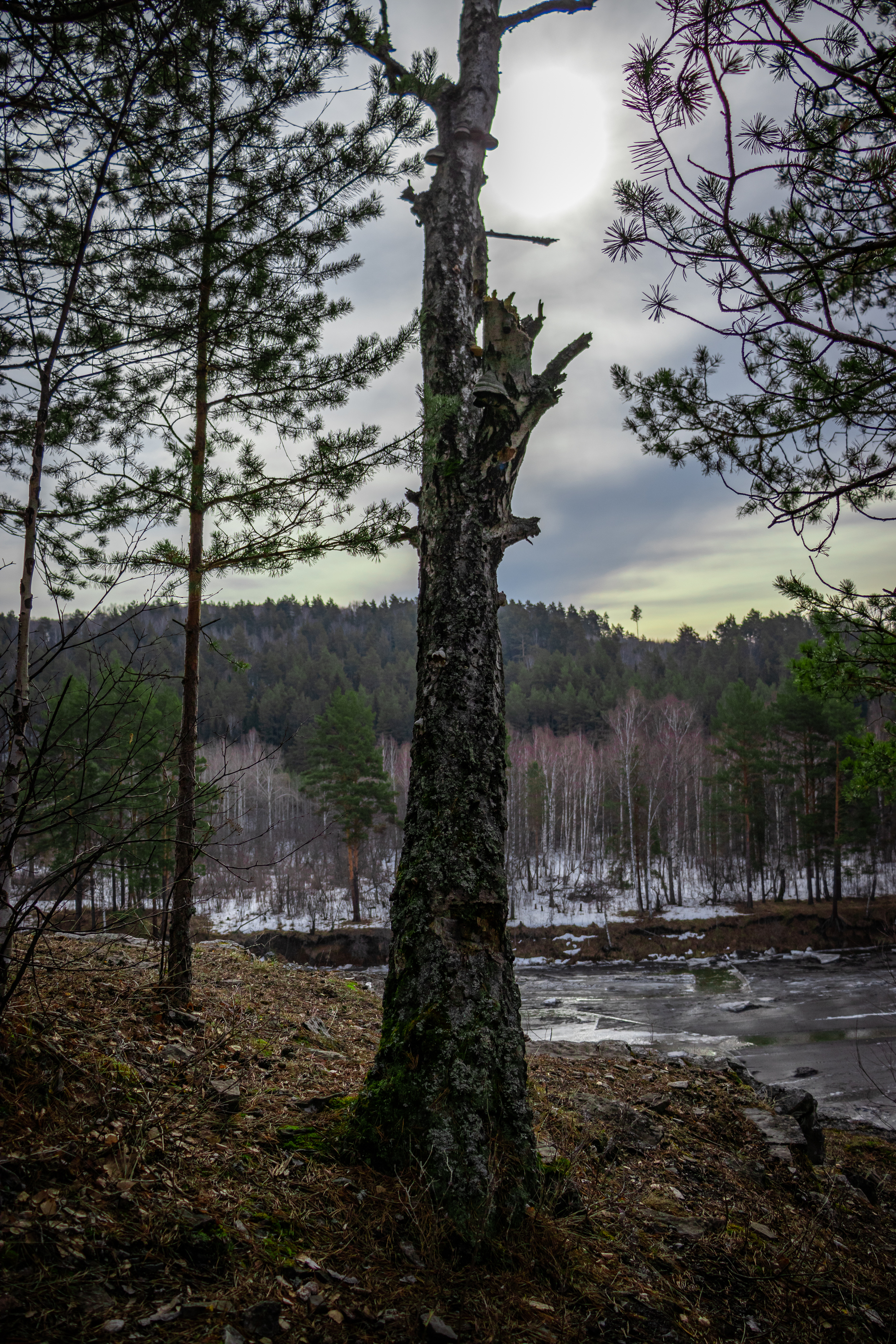 Nature wakes up - My, Nature, Hike, The photo, The mountains, Bashkortostan, Chelyabinsk, Longpost