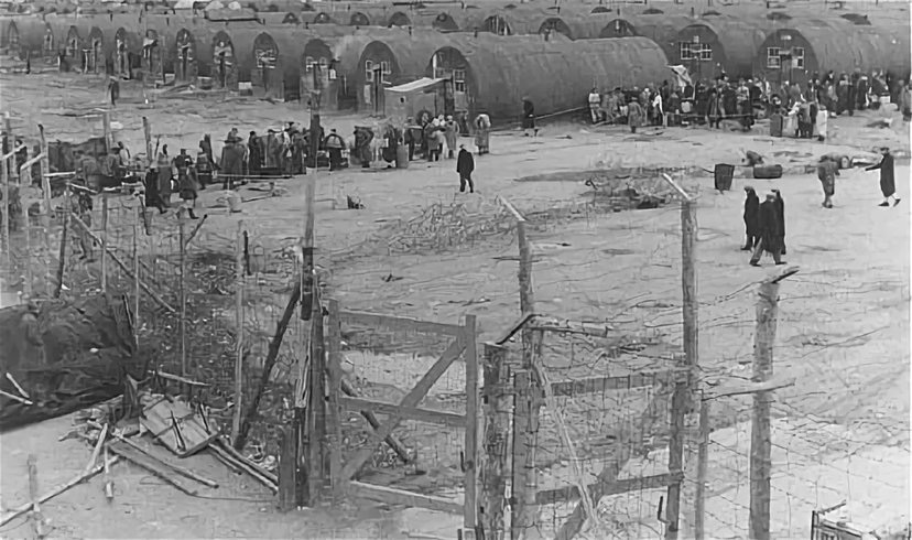 British concentration camps for Jews - Concentration camp, Jews, Cyprus, War crimes, Israel, Great Britain, Story, 20th century, Longpost, Politics