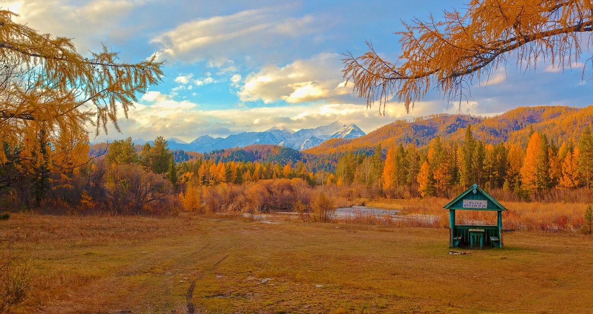 Golden Autumn of Buryatia, Tunkinsky District - Autumn, Buryatia, The photo, beauty, Nature