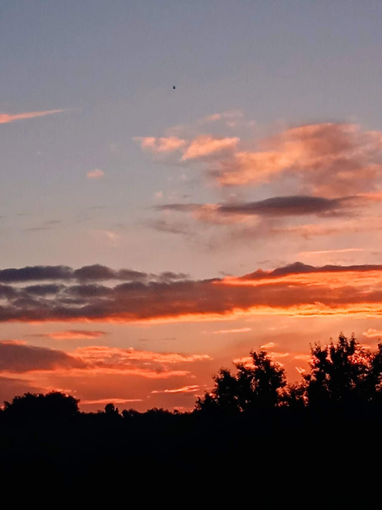 Native sky - My, Nature, Sky, Clouds, Sunset, Fog, dawn, Longpost