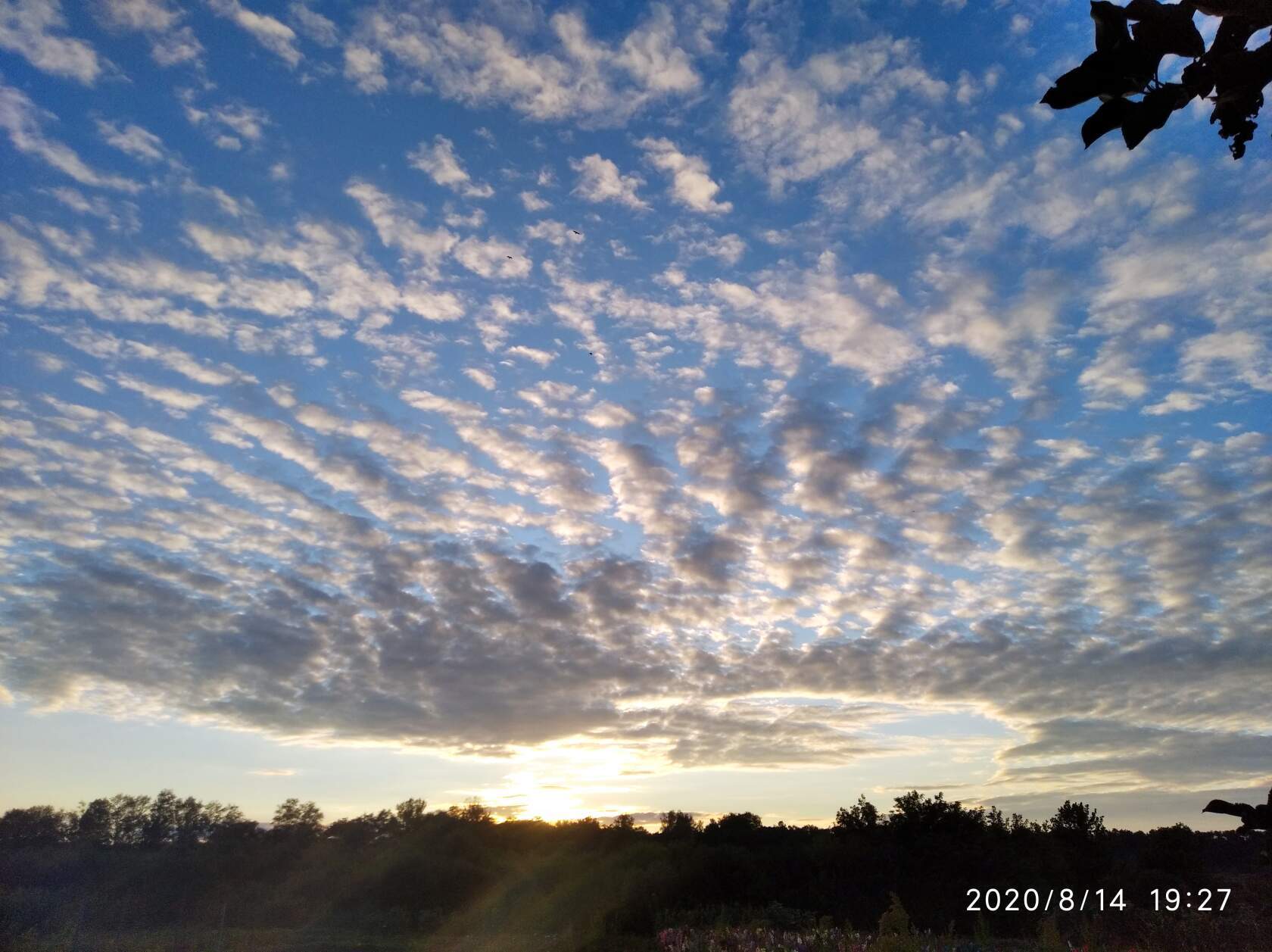 Native sky - My, Nature, Sky, Clouds, Sunset, Fog, dawn, Longpost