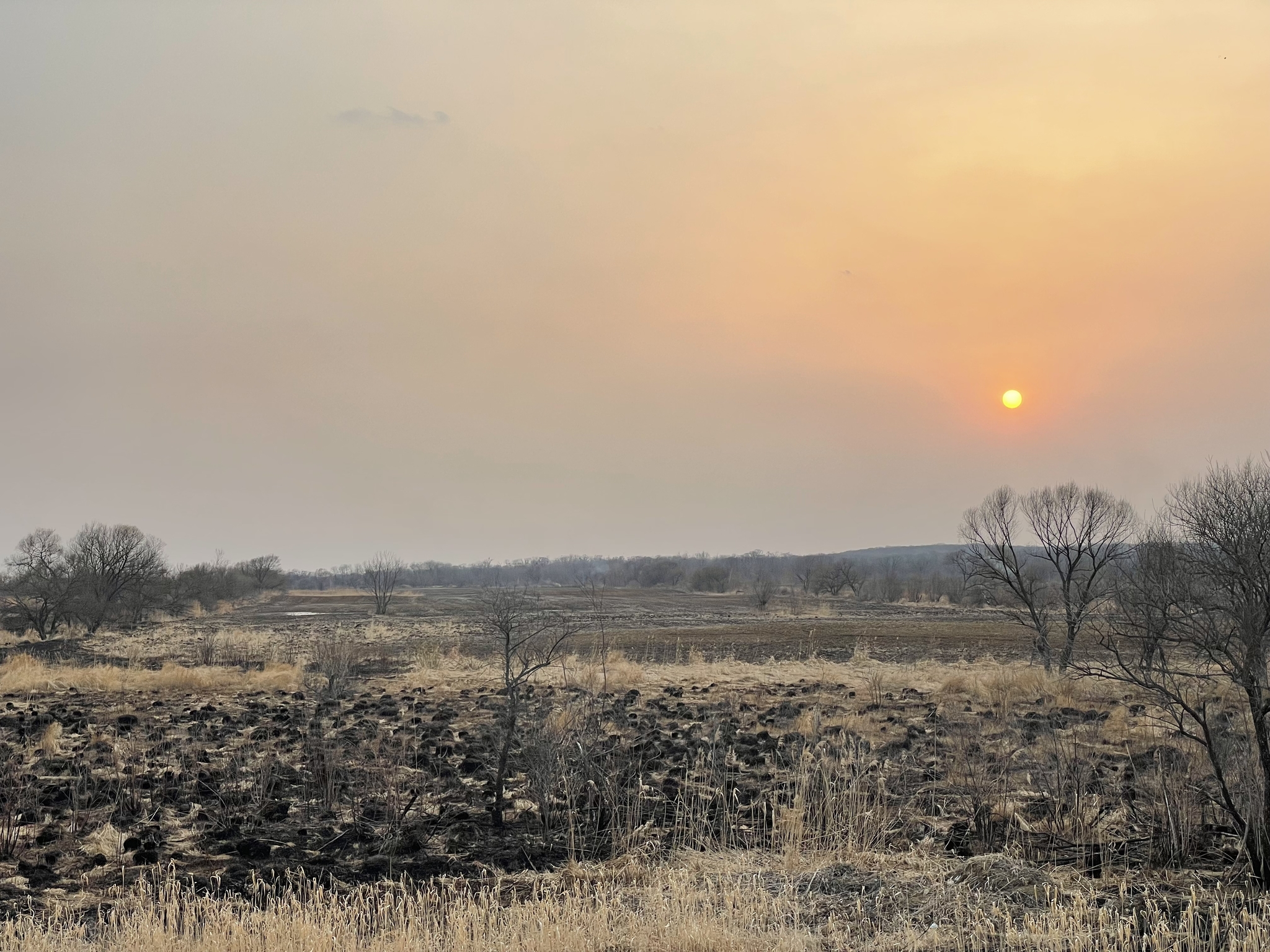 Such a different and unusually beautiful route Khabarovsk-Vladivostok. Does anyone know why everything is burning? - Travels, Travel across Russia, Truckers, Khabarovsk, Vladivostok, Road, beauty, Nature, beauty of nature, Longpost