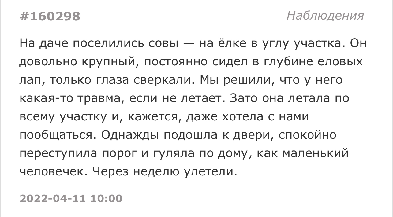 Приятное соседство - Скриншот, Подслушано, Сова