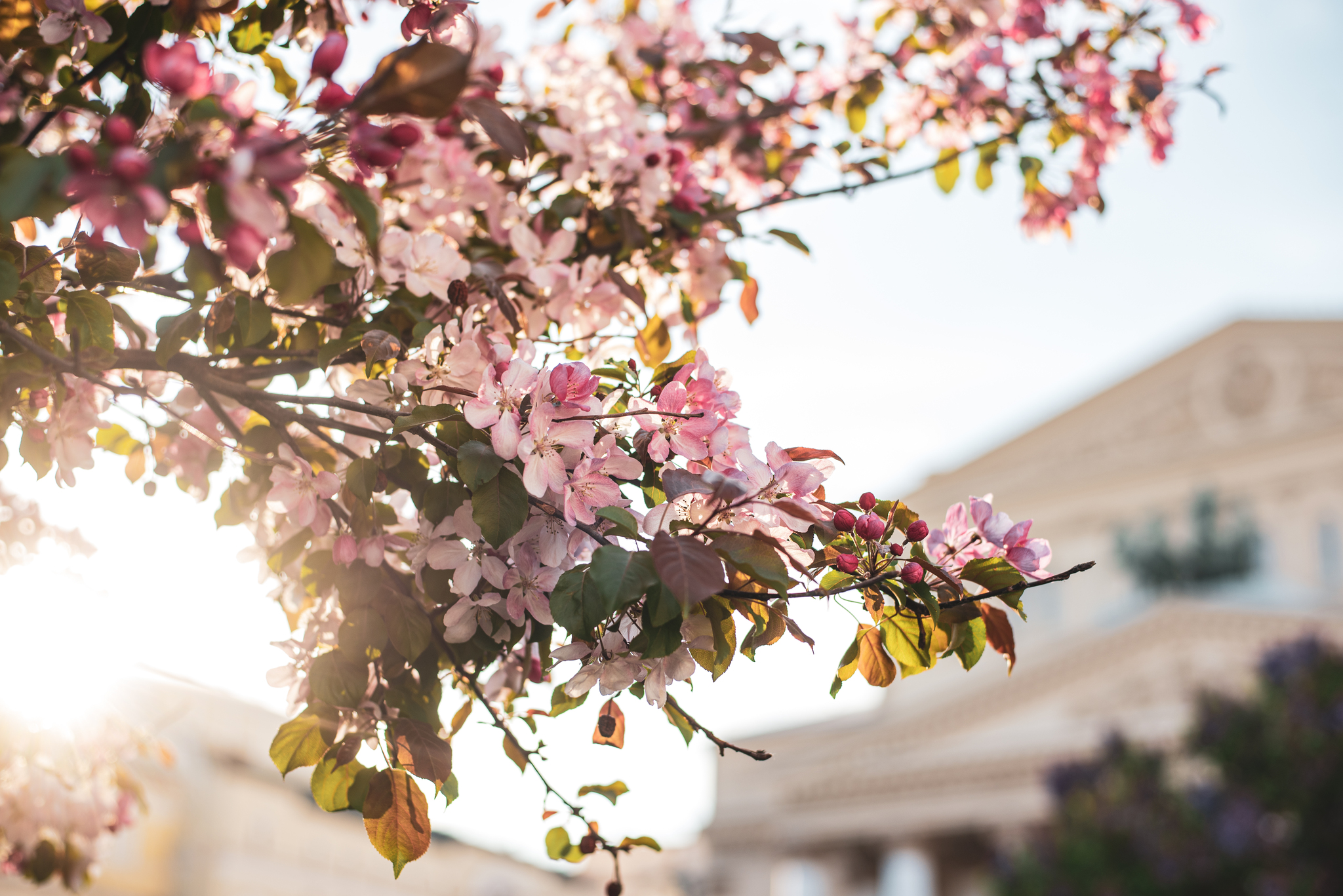 Waiting for the Moscow Spring - My, Moscow, The photo, Photographer, Nikon, Spring, Longpost