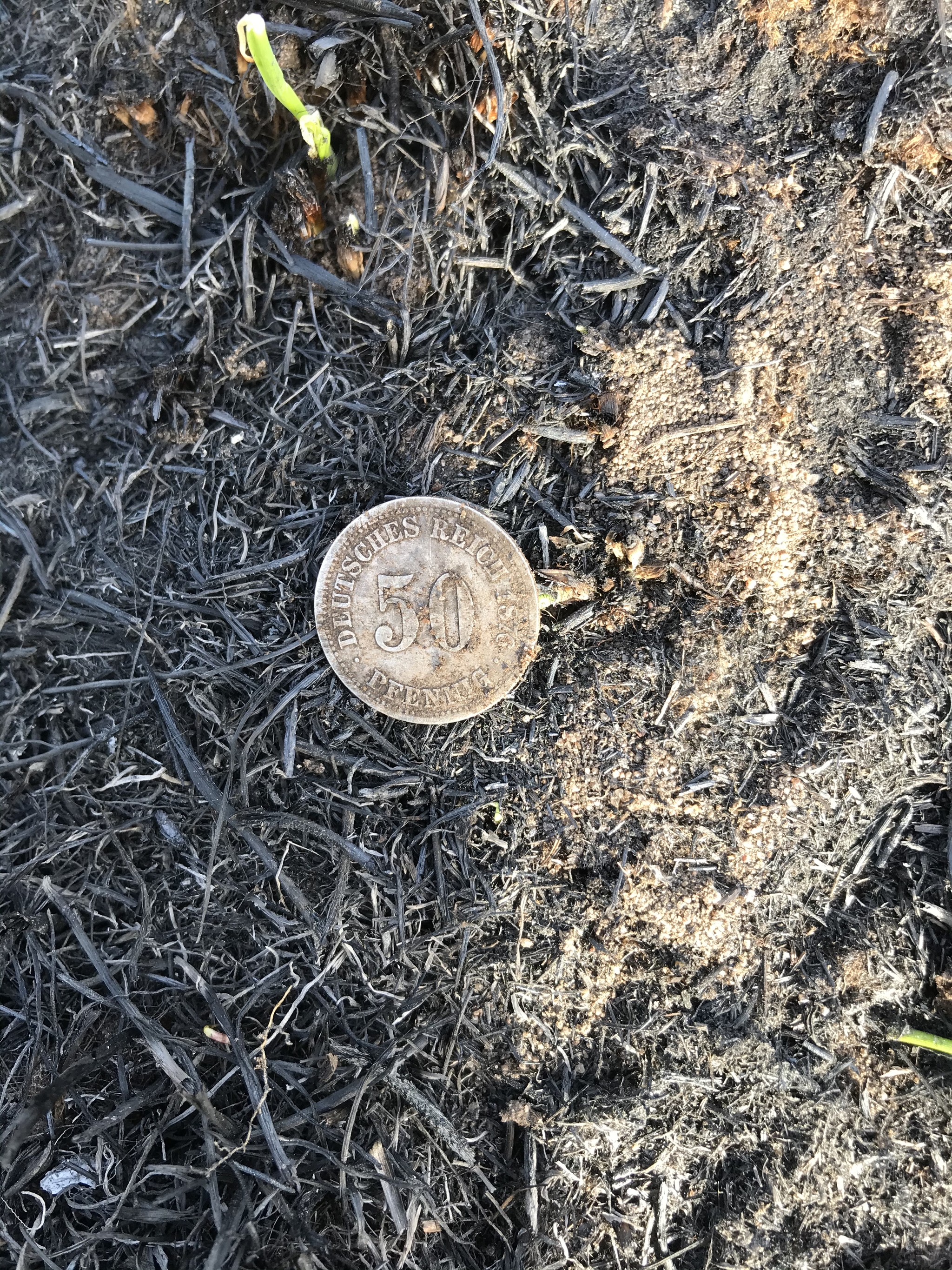 What does a kiss with a toad lead to? - My, Digger, Ancient coins, Old man, Metal detector, Longpost