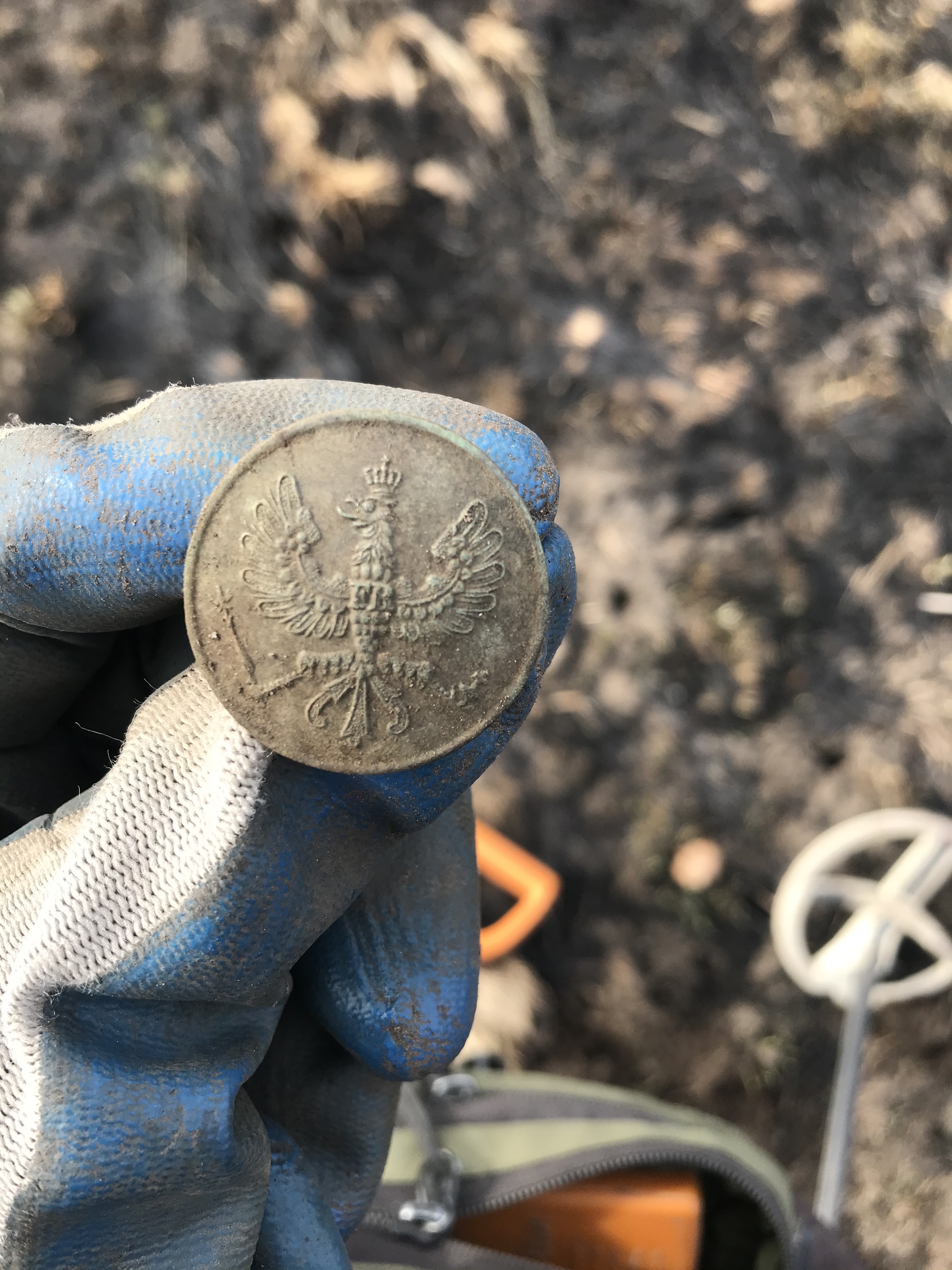 What does a kiss with a toad lead to? - My, Digger, Ancient coins, Old man, Metal detector, Longpost