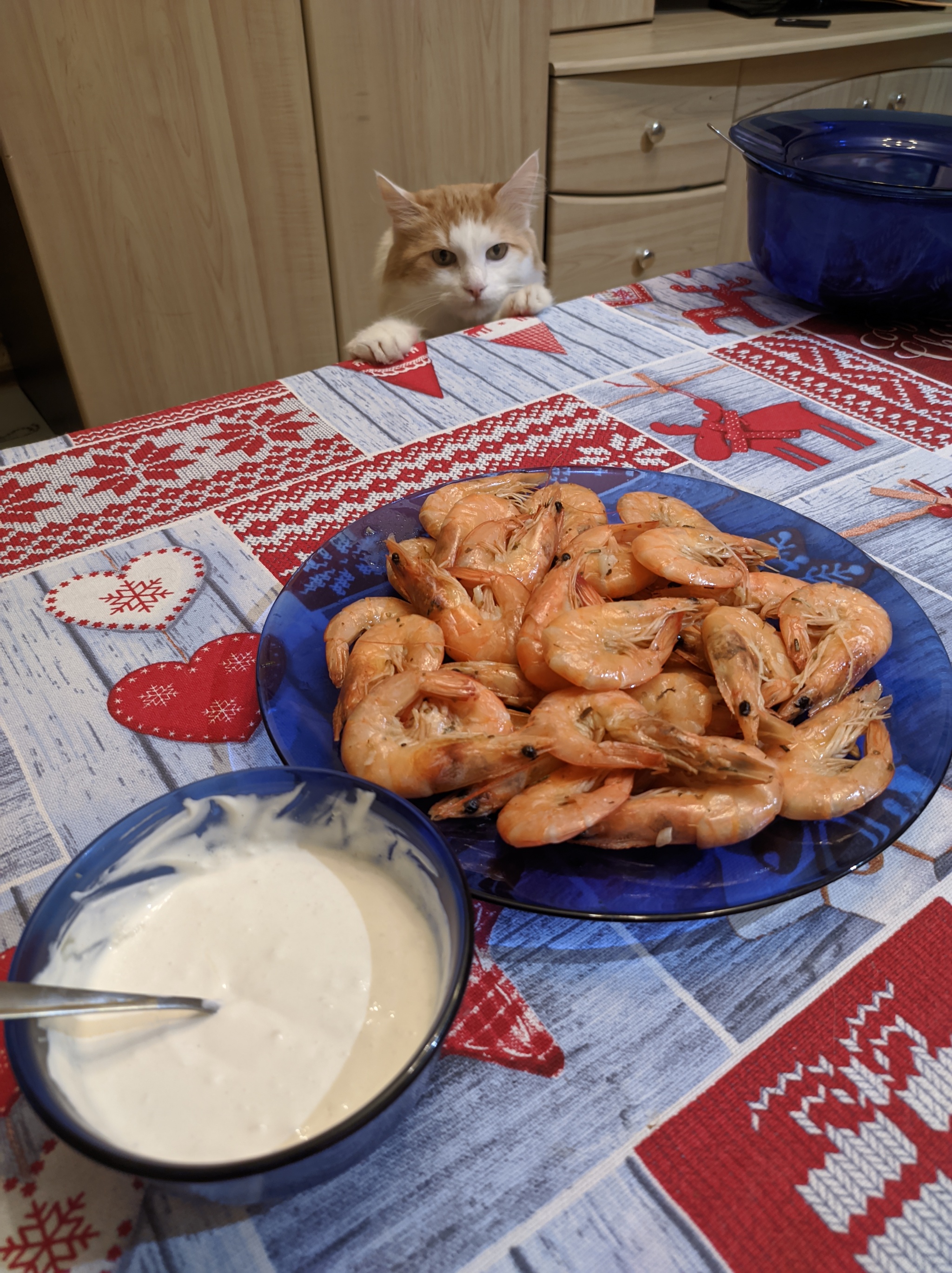 No, just showing! - My, cat, Food, Shrimps, 