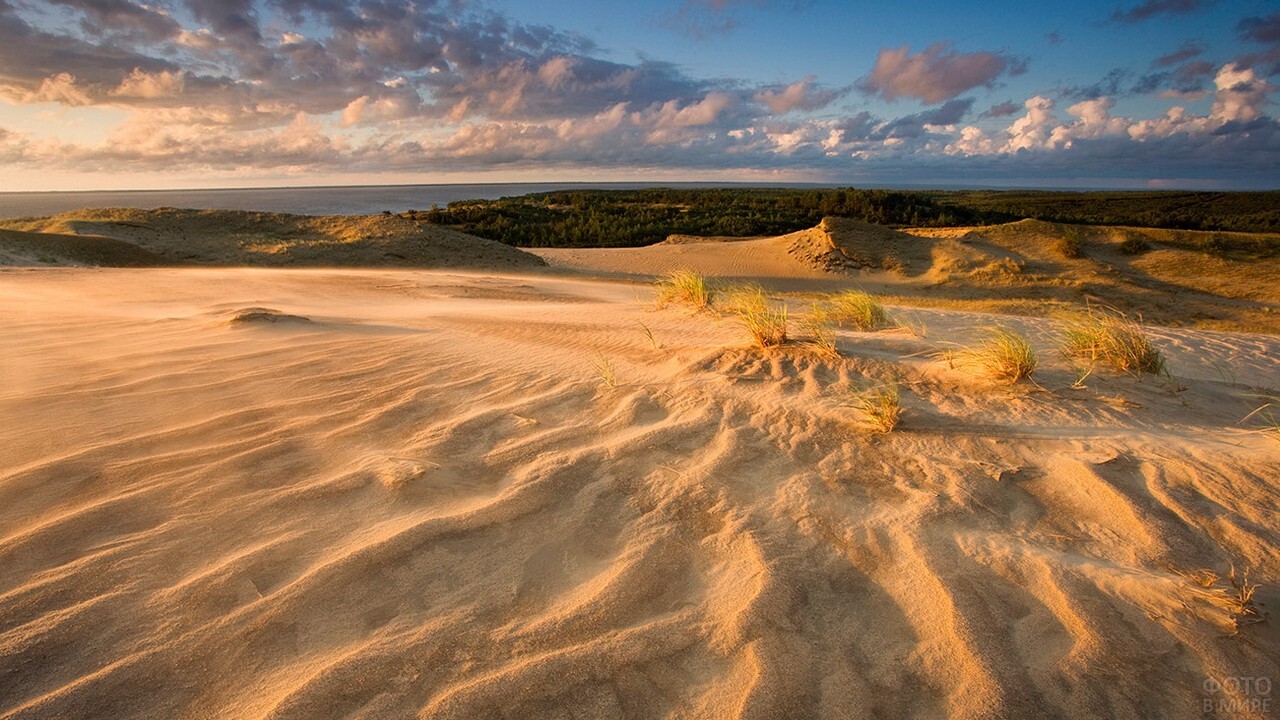 Curonian Spit - one of the most unusual places in Russia - My, Travel across Russia, Tourism, Travels, Kaliningrad region, Longpost, Curonian Spit