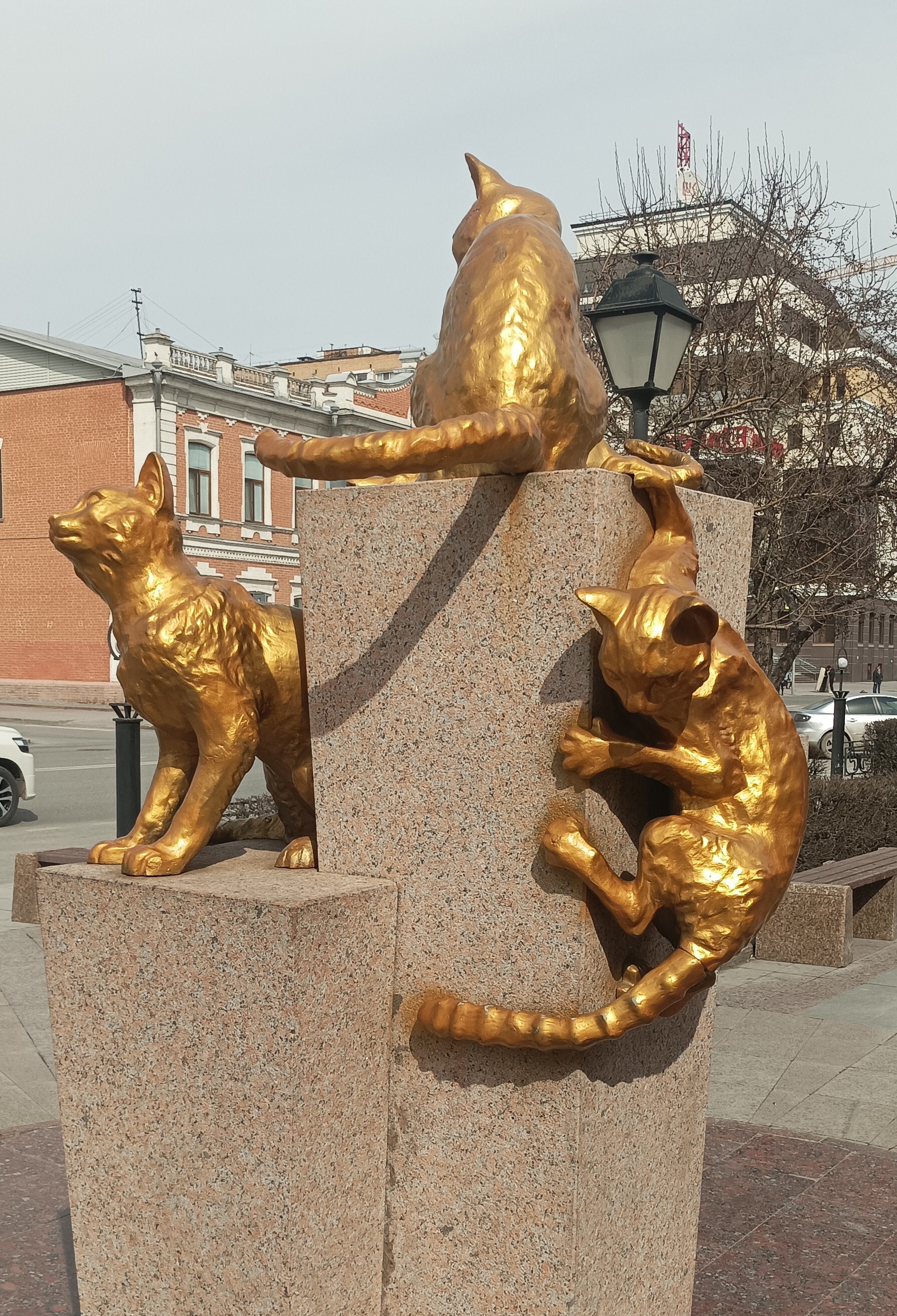 Monument to cats. Tyumen - My, cat, Kittens, Monument, Longpost, Tyumen