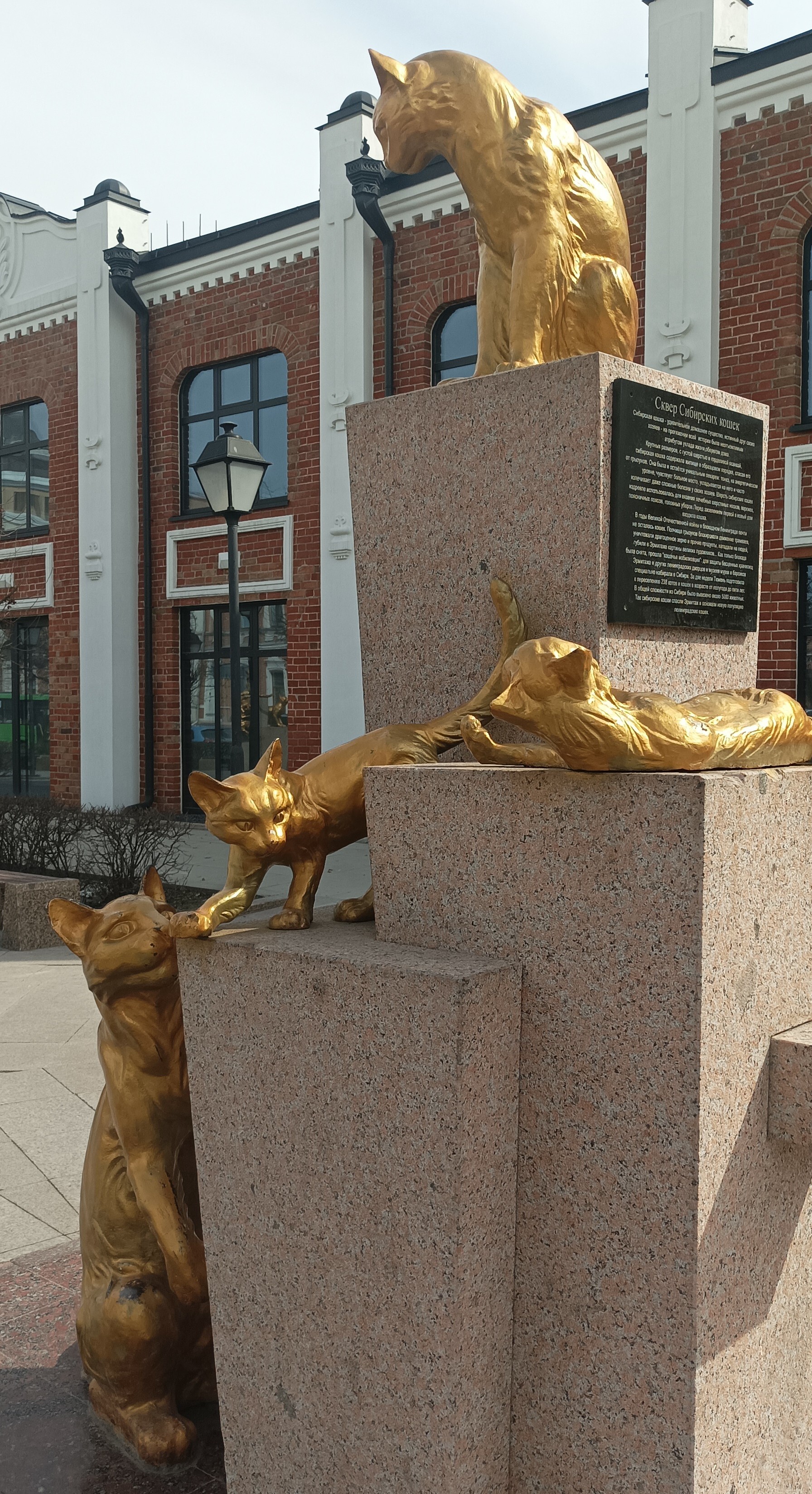 Monument to cats. Tyumen - My, cat, Kittens, Monument, Longpost, Tyumen