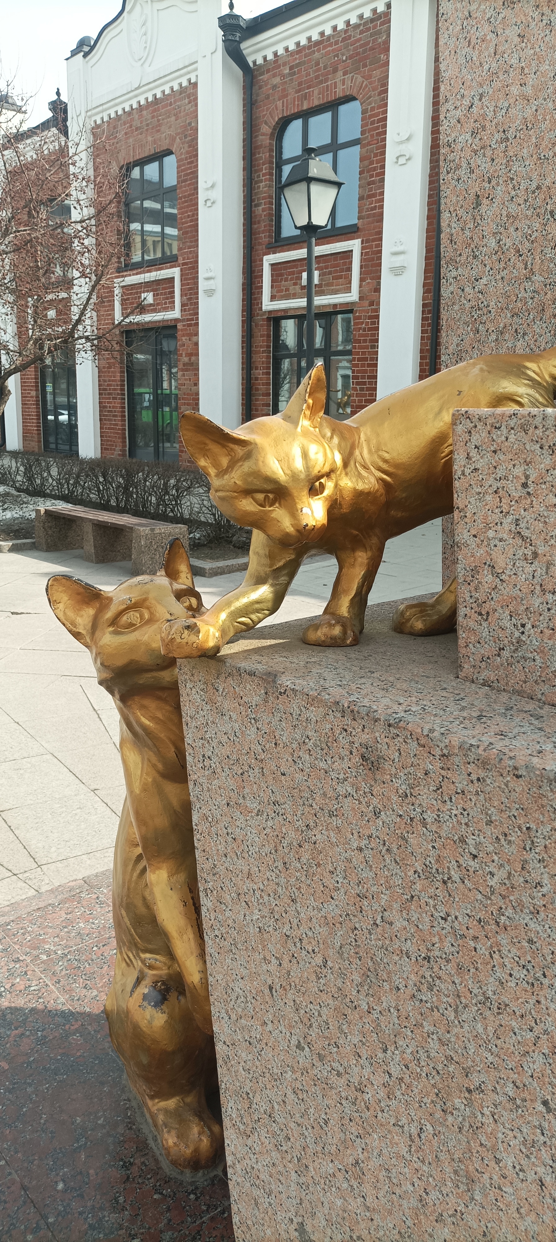 Monument to cats. Tyumen - My, cat, Kittens, Monument, Longpost, Tyumen