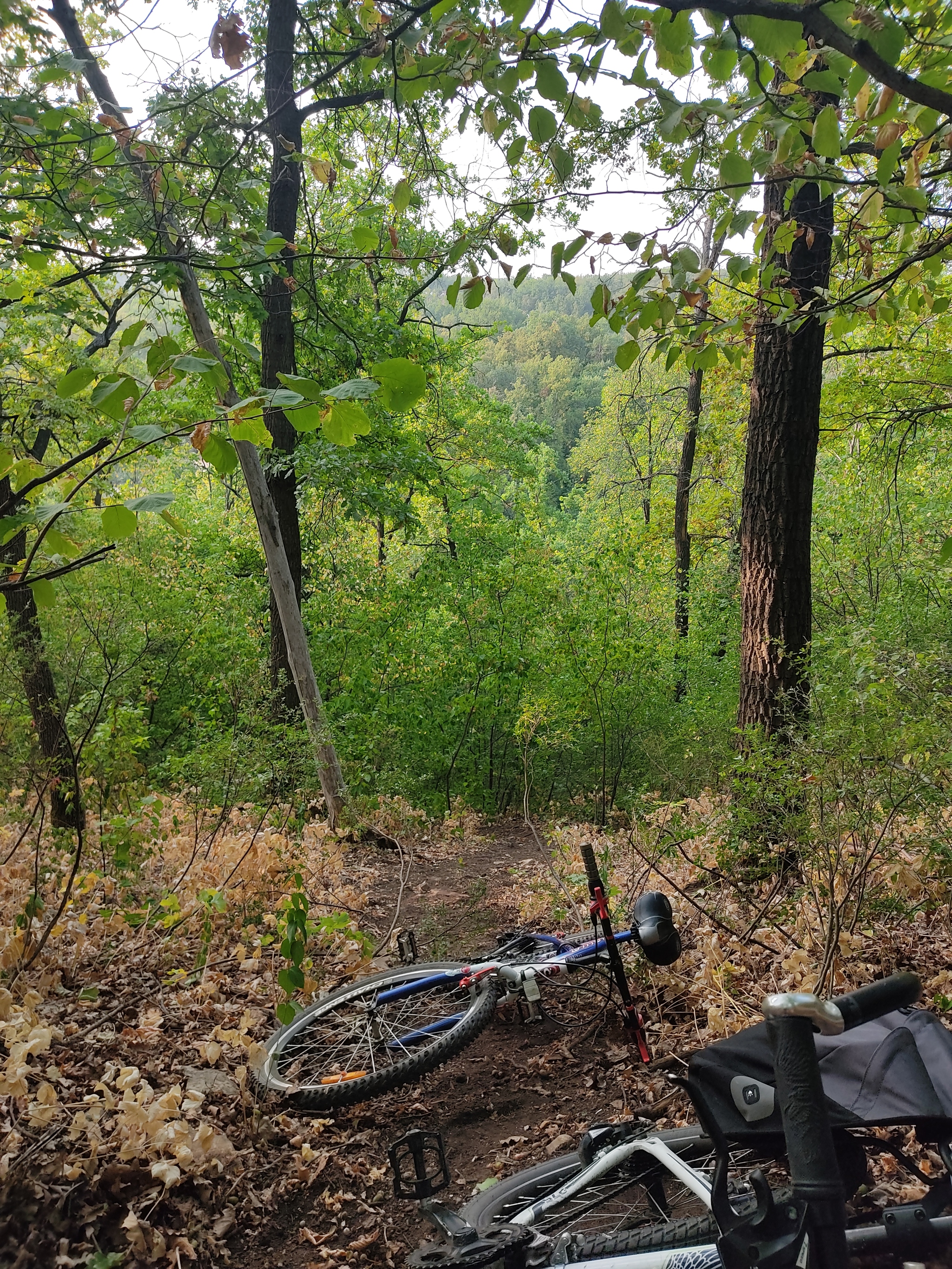 Bike ride on the outskirts of Samara - My, Longpost, Vertical video, A bike, Bike ride, Samara, Video