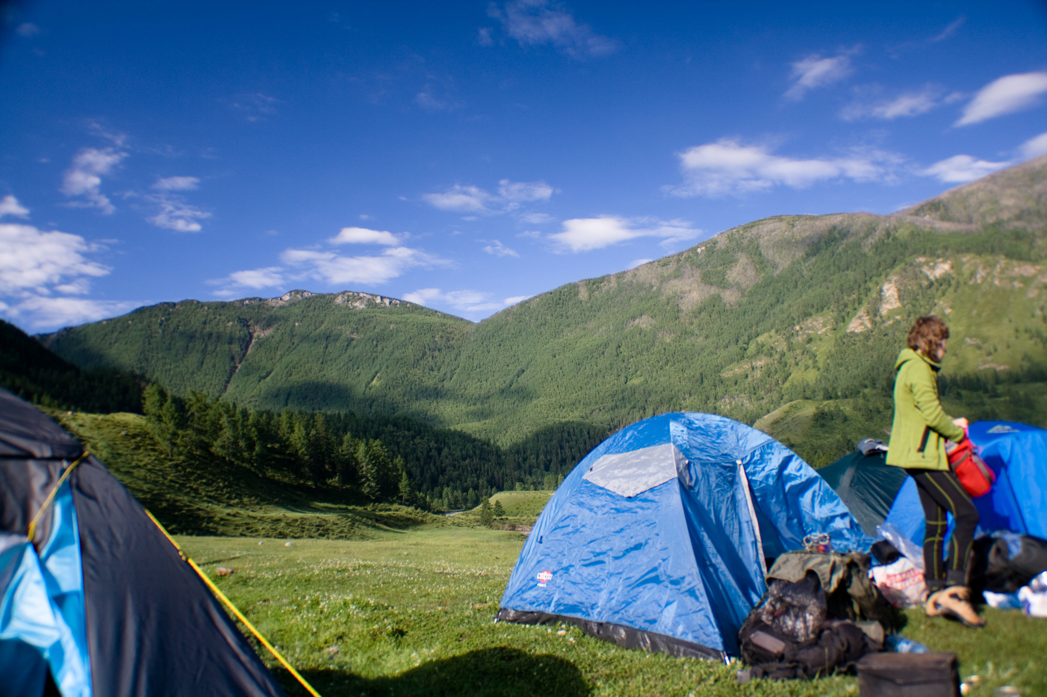 Panzeeer's response in Reply to the 'Truly Good Morning' post - My, Altai Republic, Tent, Nature, Reply to post, A wave of posts