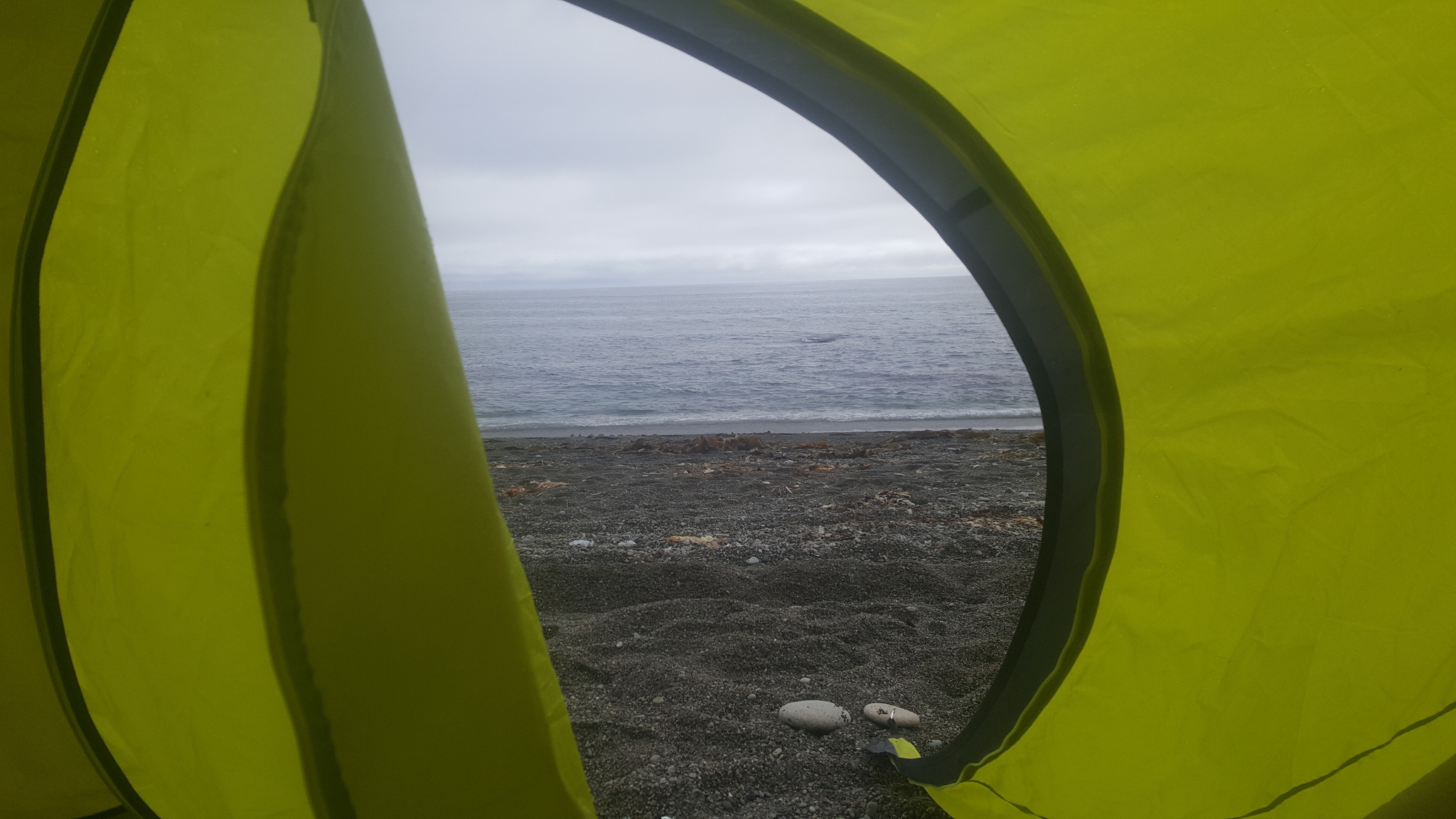 Response to the post Reply to the post Really good morning - My, Mobile photography, Sea, Tent, Landscape, dawn, Sakhalin, Reply to post, Good morning, A wave of posts