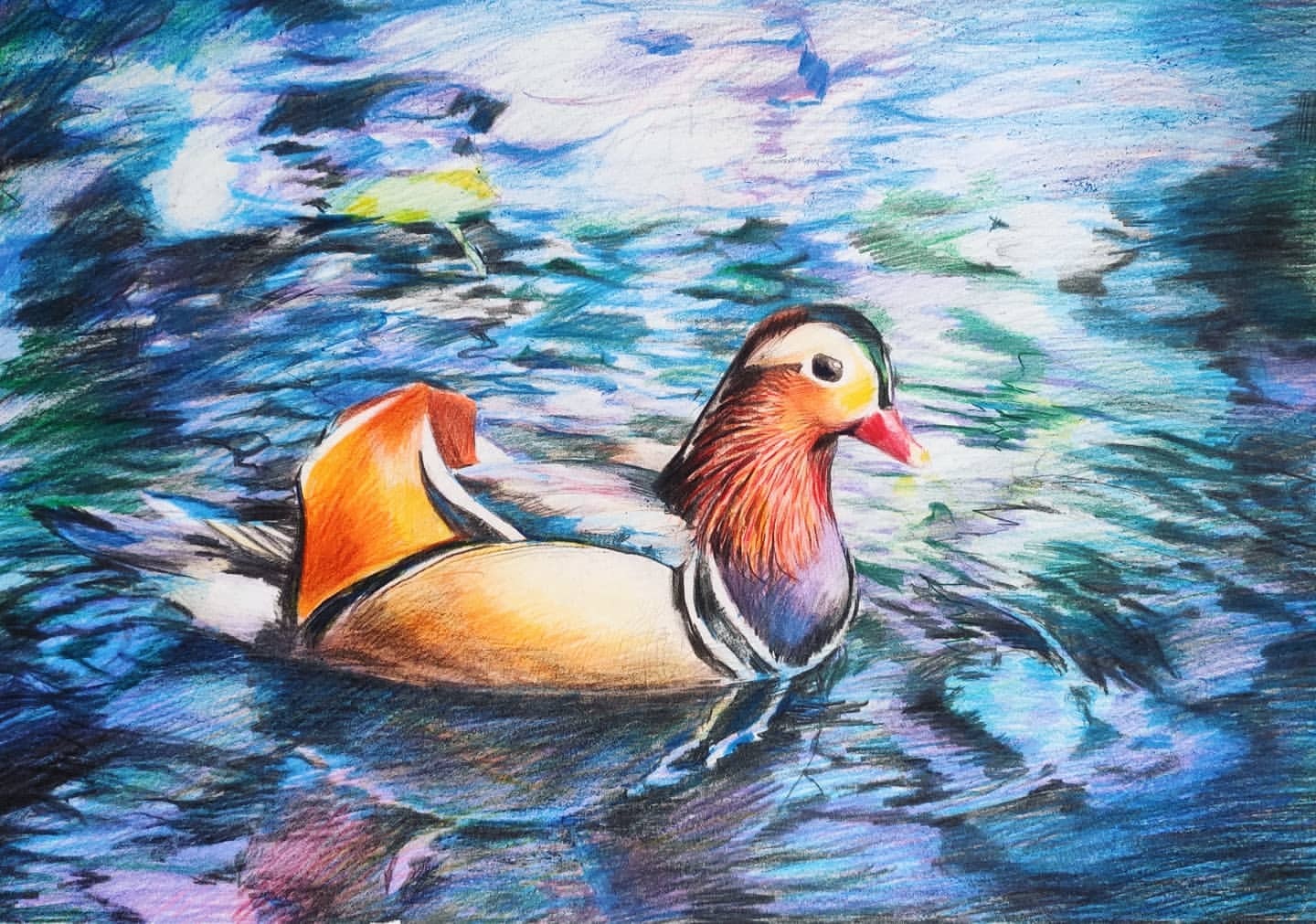 Drawings of animals with colored pencils - My, Painting, Drawing, Sketch, Sketch, Colour pencils, Animals, Longpost