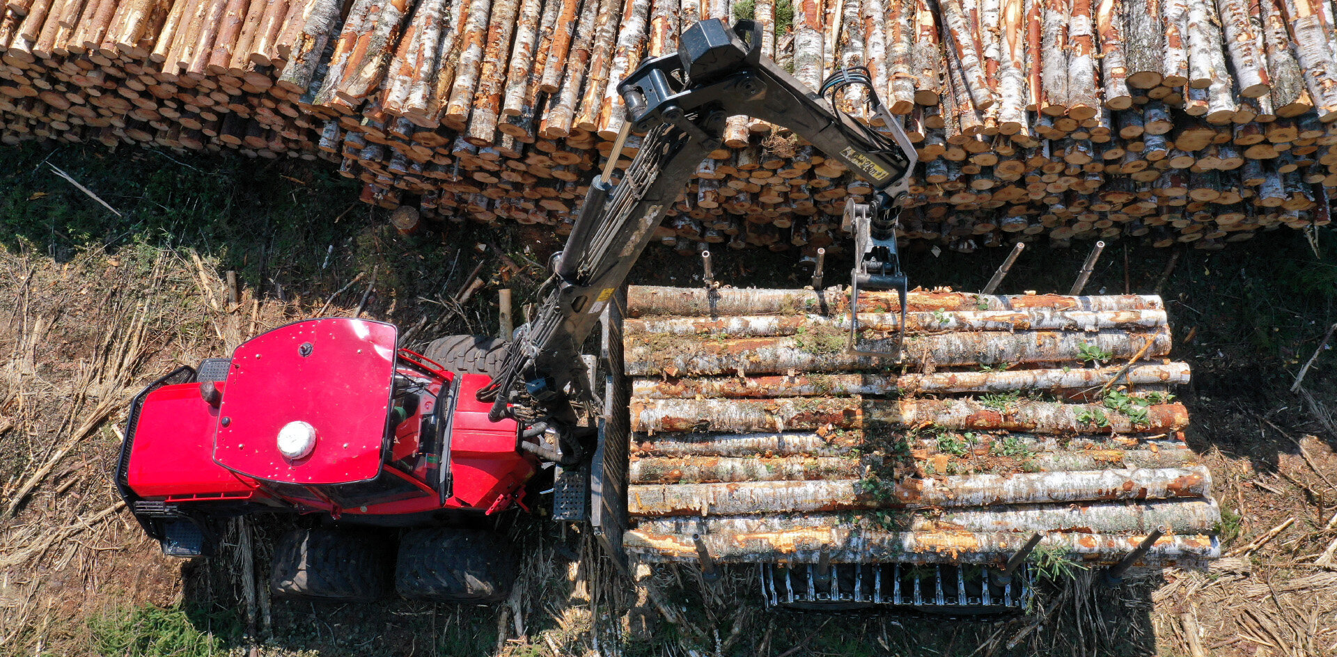 The forest industry is trying to survive in the face of sanctions and counter-sanctions - Politics, news, Russia, Economy, Vladimir Putin, European Union, Forest