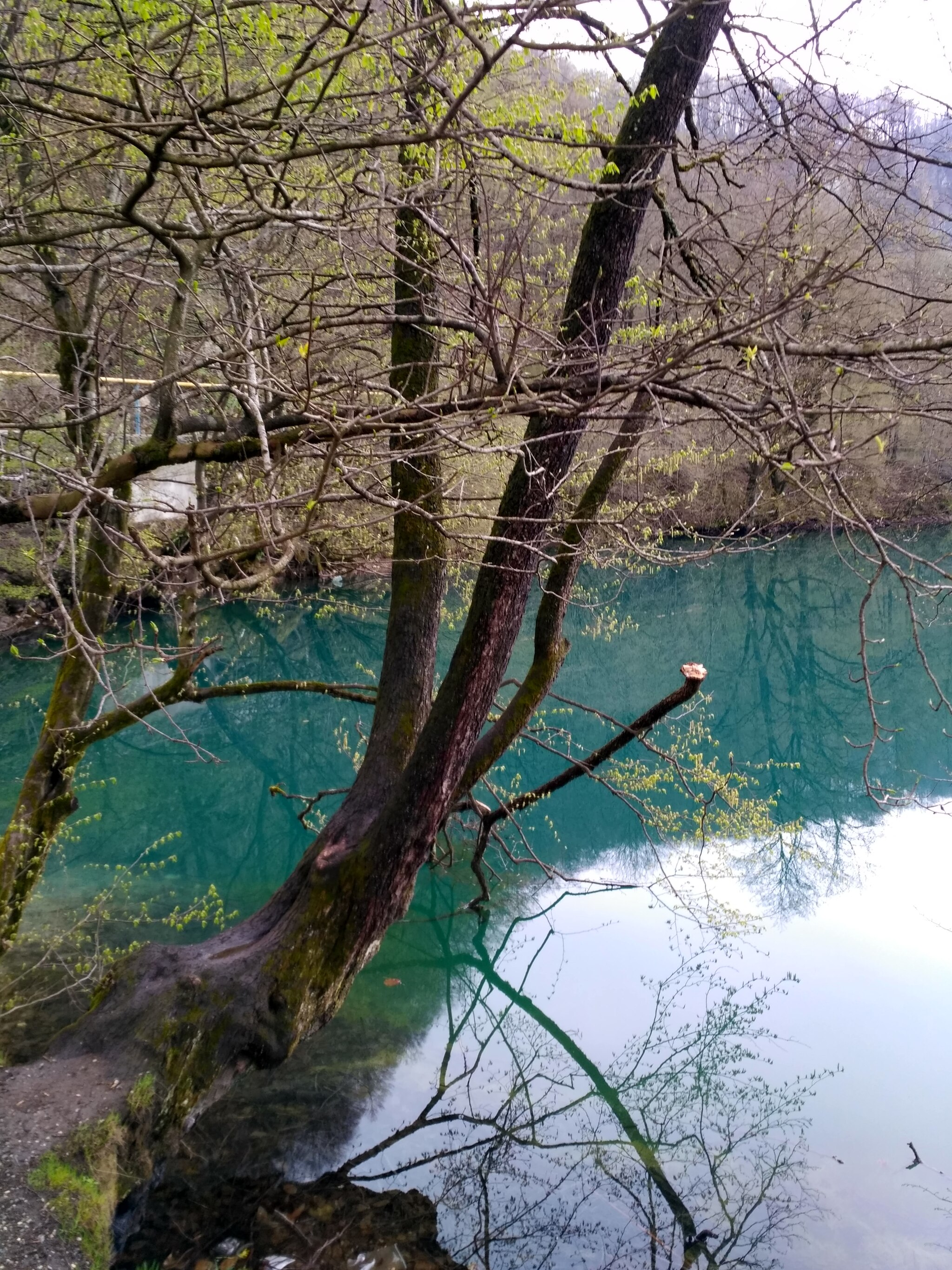 Санаторий голубые озера Кабардино-Балкарии