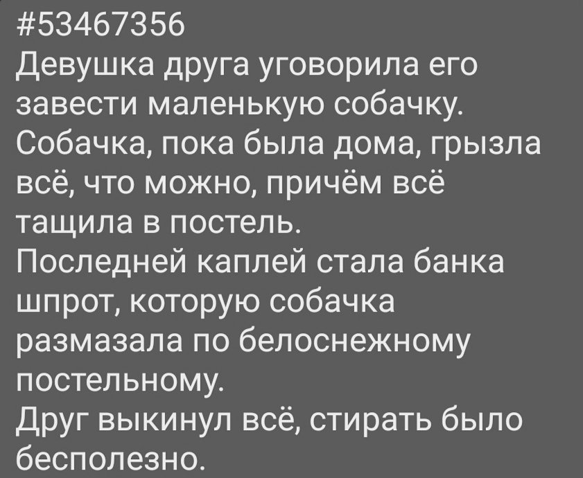 Вредительница - Отношения, Собака, Шпроты, Постель, Рыба, Выброс, Вредители, Картинка с текстом